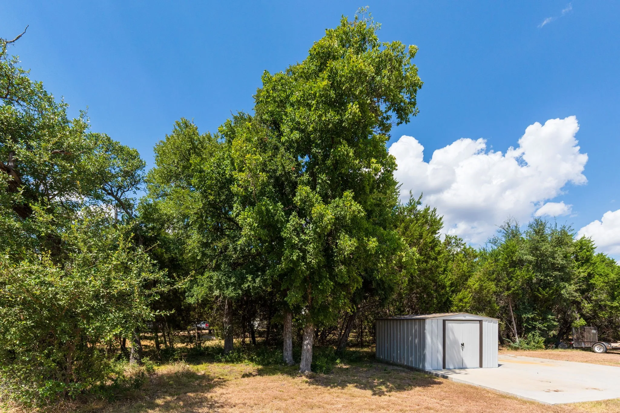 Detached metal storage shed with a solid door, situated on a concrete pad amidst mature trees and natural landscaping