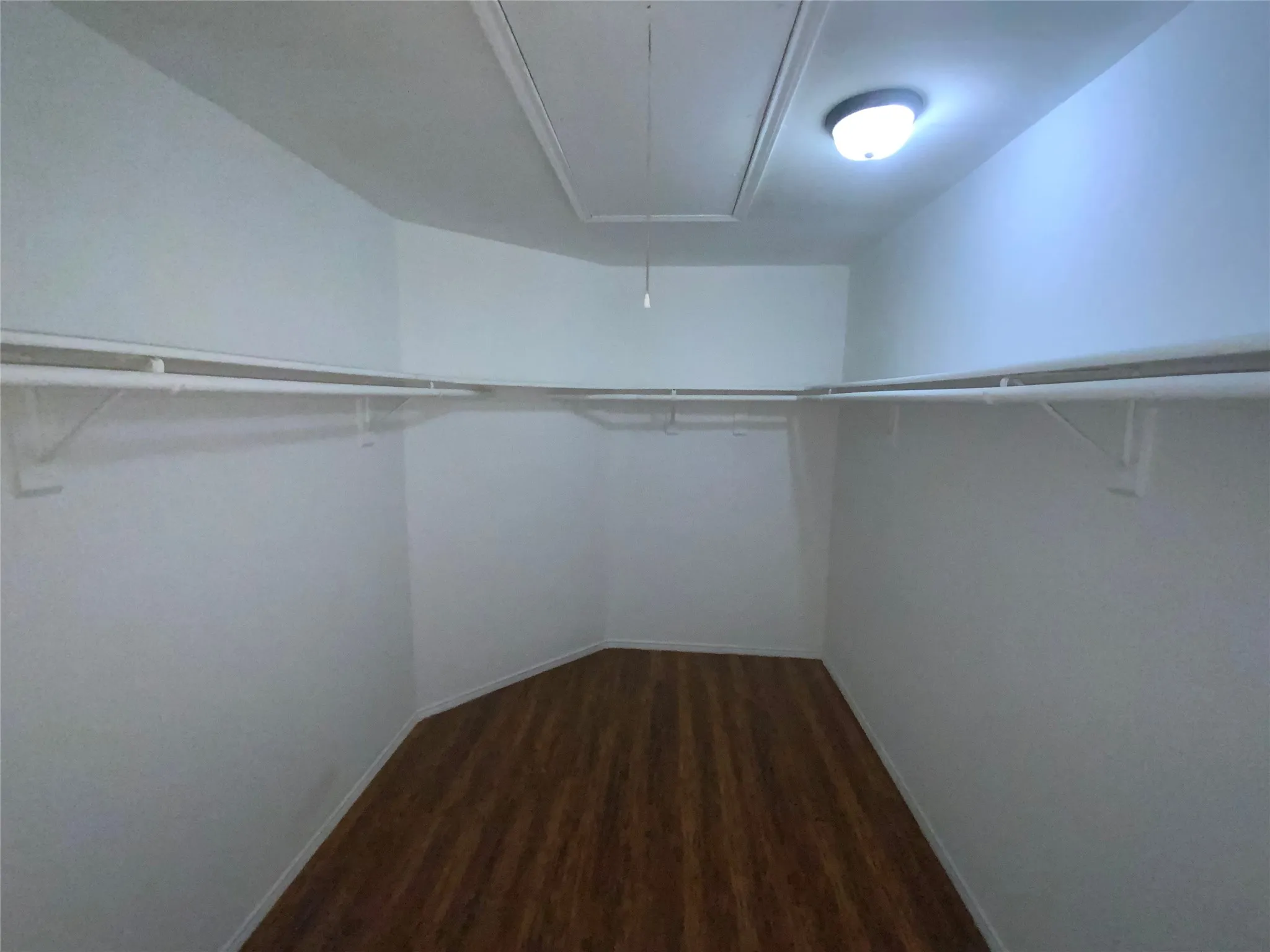 Walk-in closet featuring wood-finish flooring, white walls, and built-in white shelving