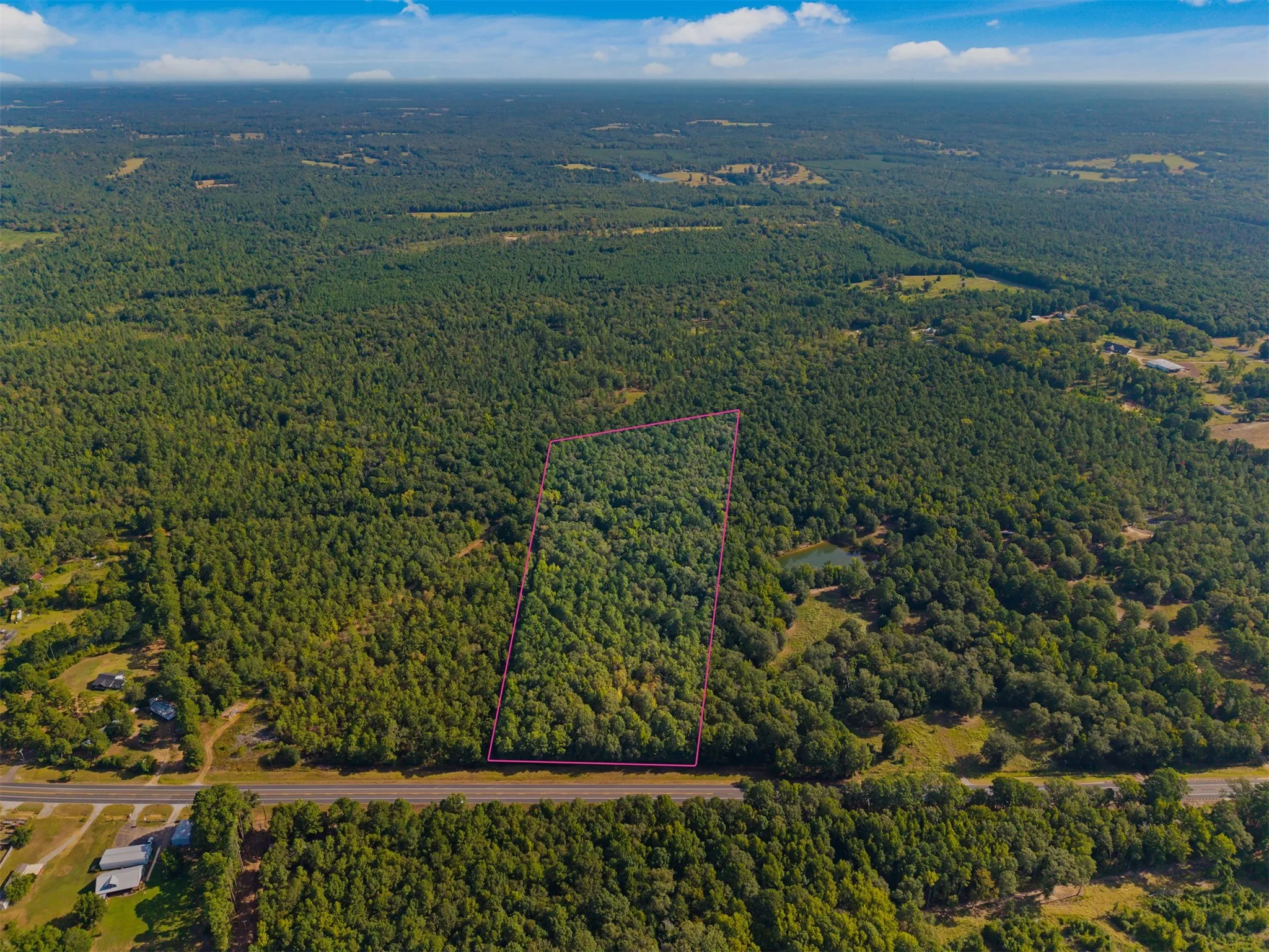 Expansive wooded acreage with road frontage and a clearly defined boundary