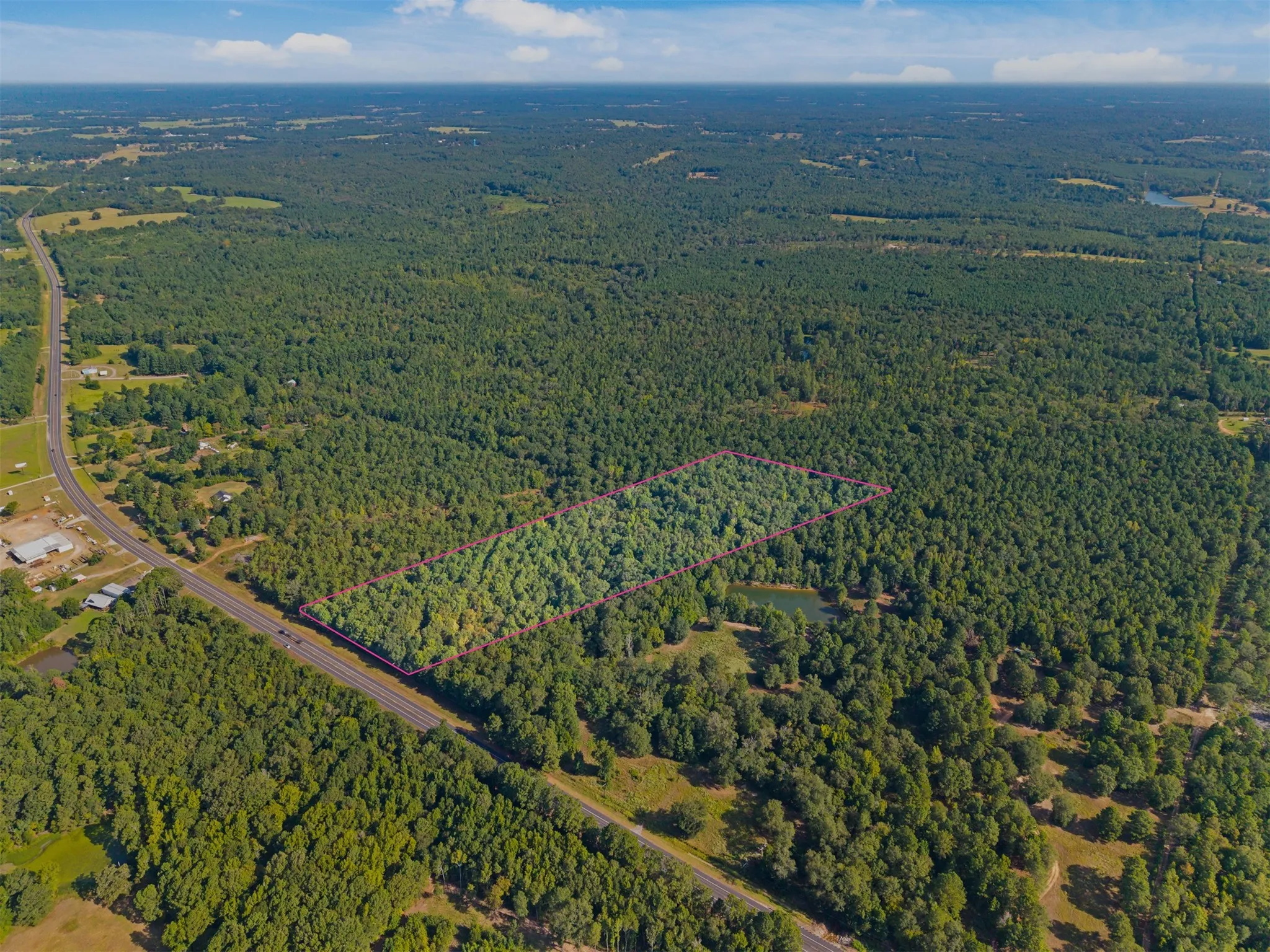 Expansive wooded acreage featuring a visible pond