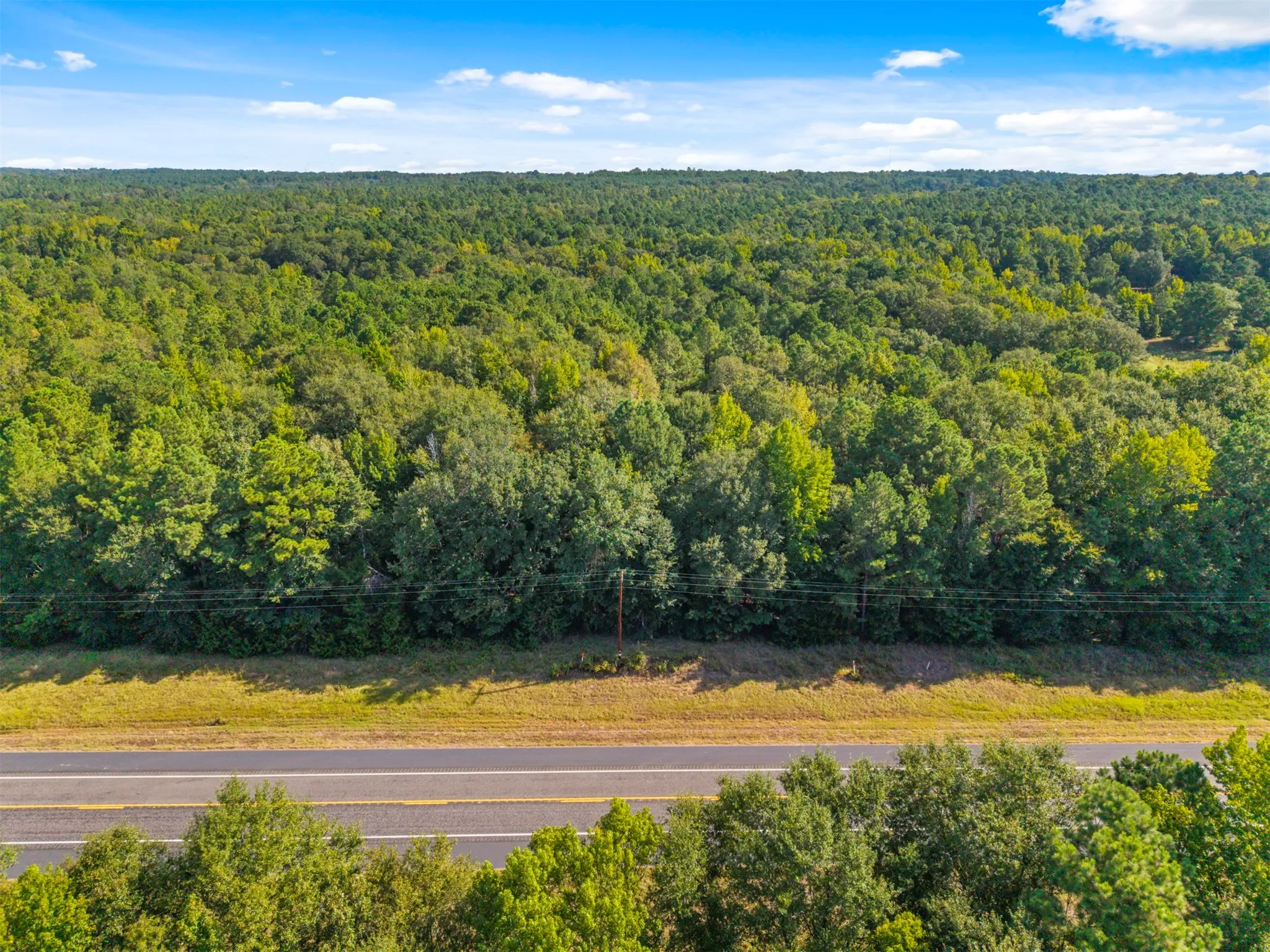 Expansive wooded acreage with a paved road frontage