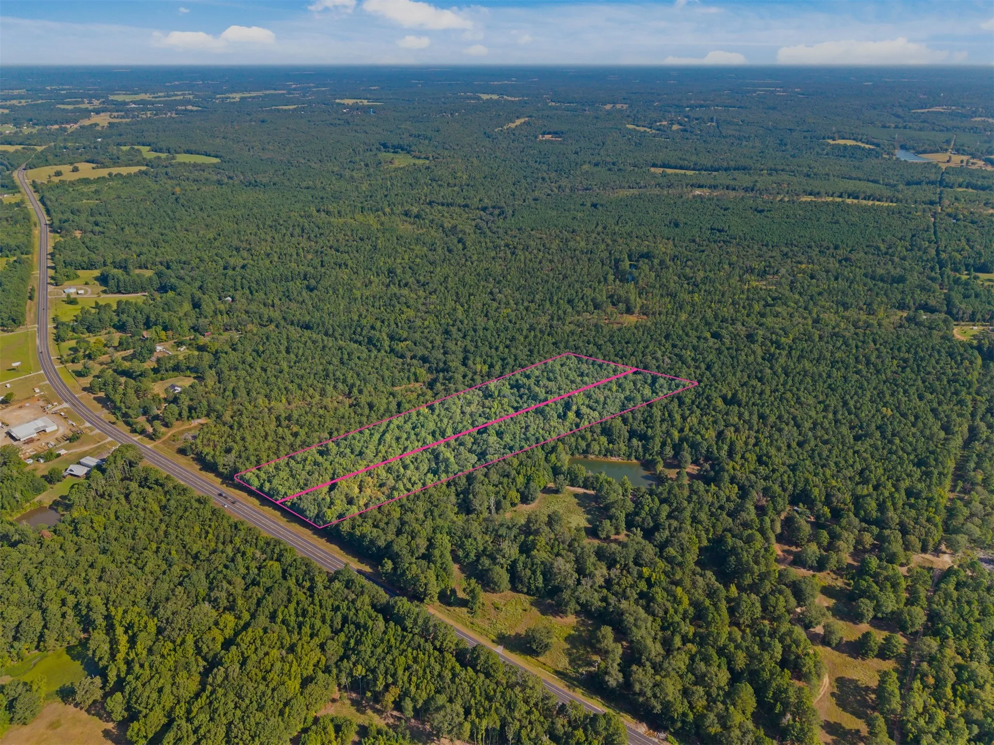 Expansive wooded acreage featuring significant tree cover, direct road frontage, and a defined property boundary