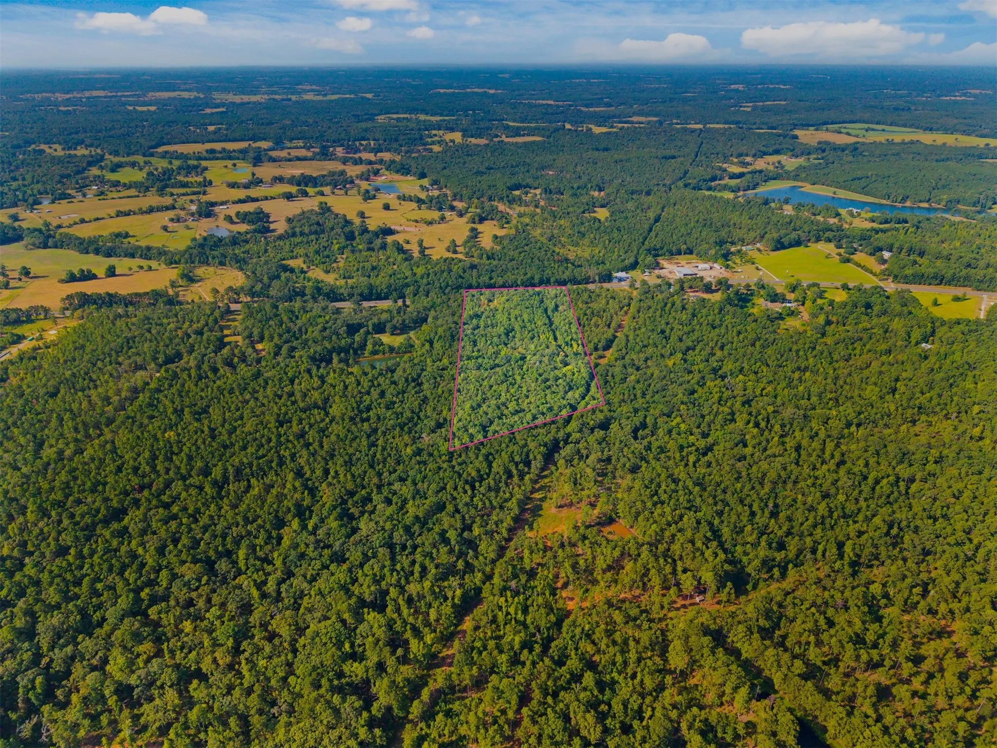 Expansive wooded acreage with a distinct property boundary