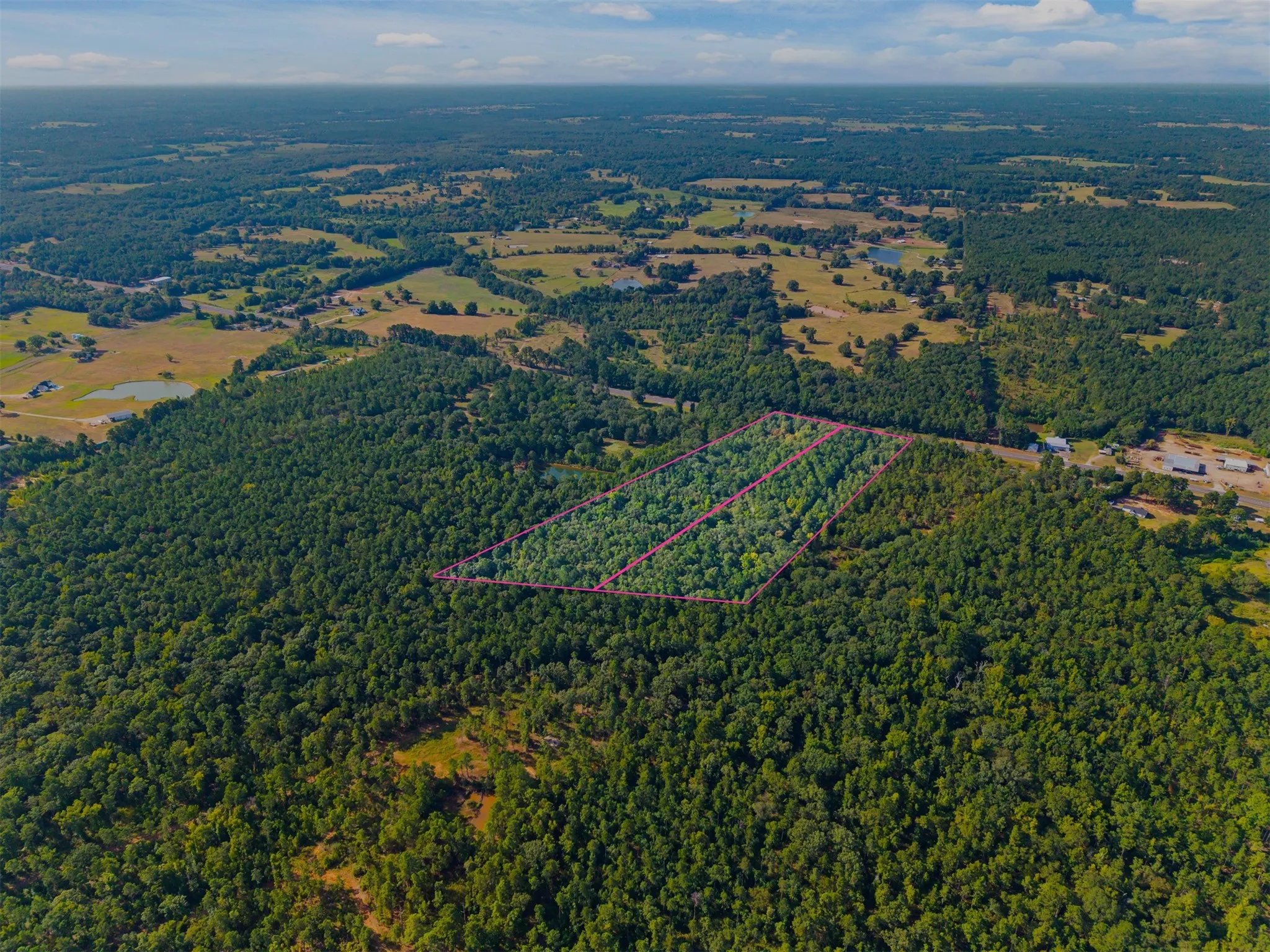 Expansive wooded acreage with a distinct boundary