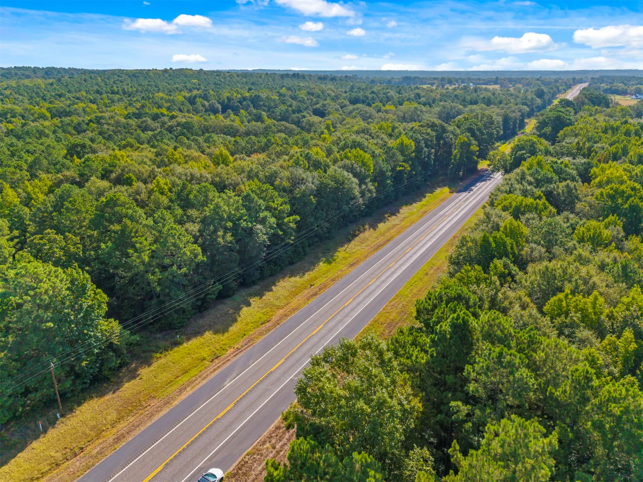 Expansive wooded landscape with a paved road