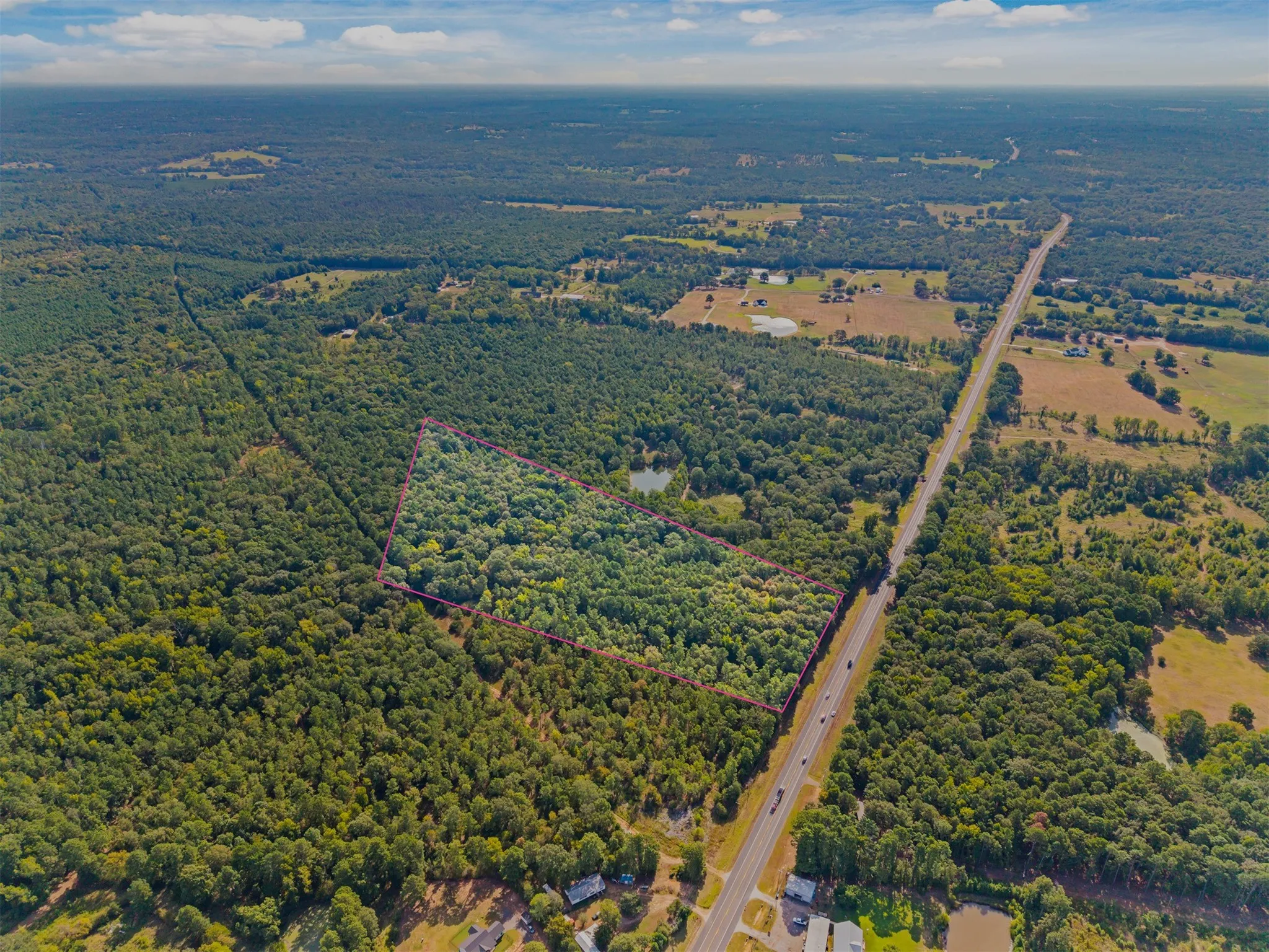Expansive forested lot with a pond, bordering a highway