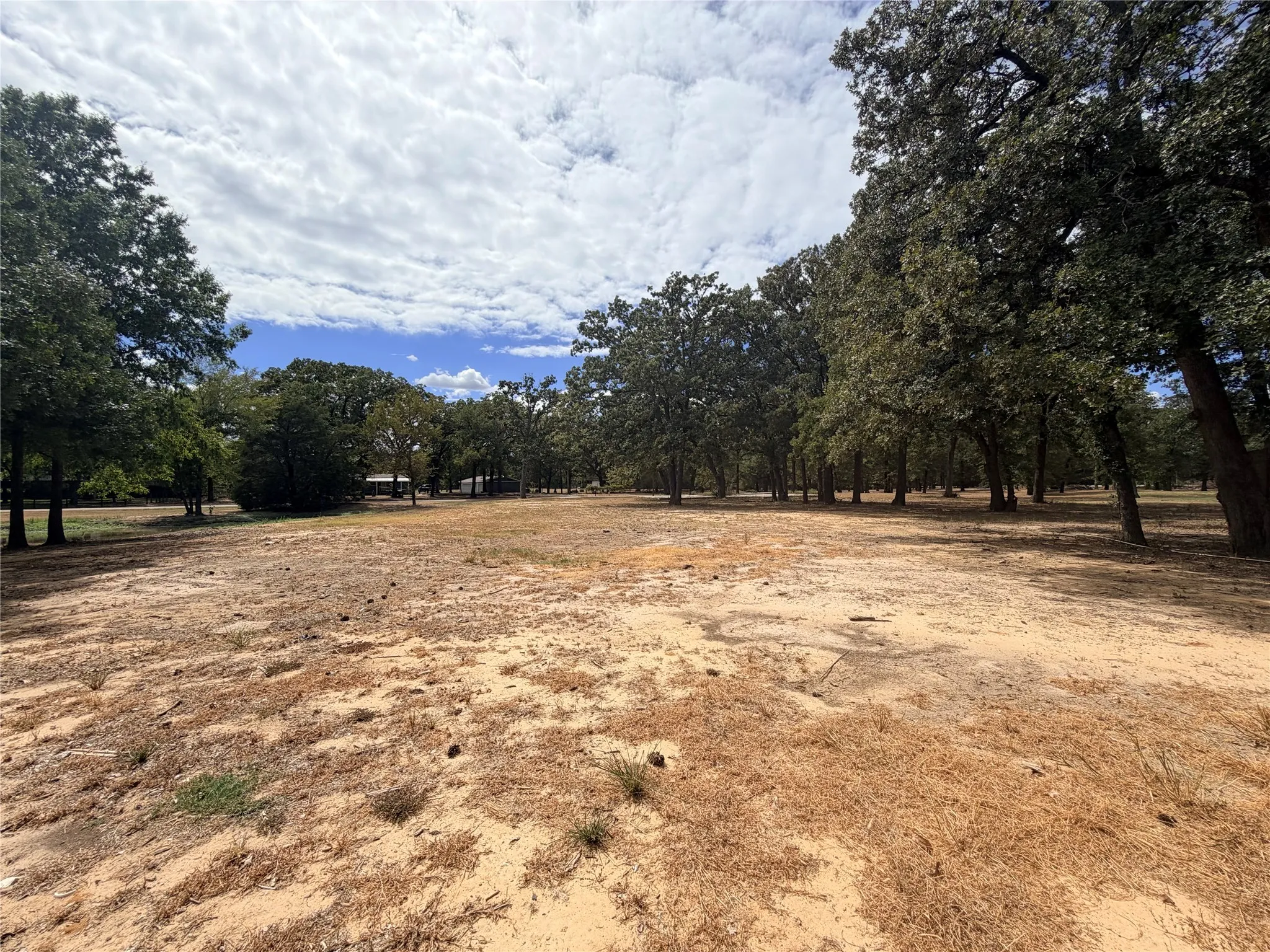 Unimproved Land For Sale in Henderson County , 5362 Triple N Ranch Rd, Trinidad, Texas 75163, 0, 0, Garage spaces, 0 Sqft, built in 0, mls#21378843, Real Estate Agent in Trinidad, Homes For Sale in Henderson county, Homes For Sale in Trinidad, Realtor in Trinidad Texas, Real Estate Brokerage Independent Realty Texas, Luminita Cordes Realtor