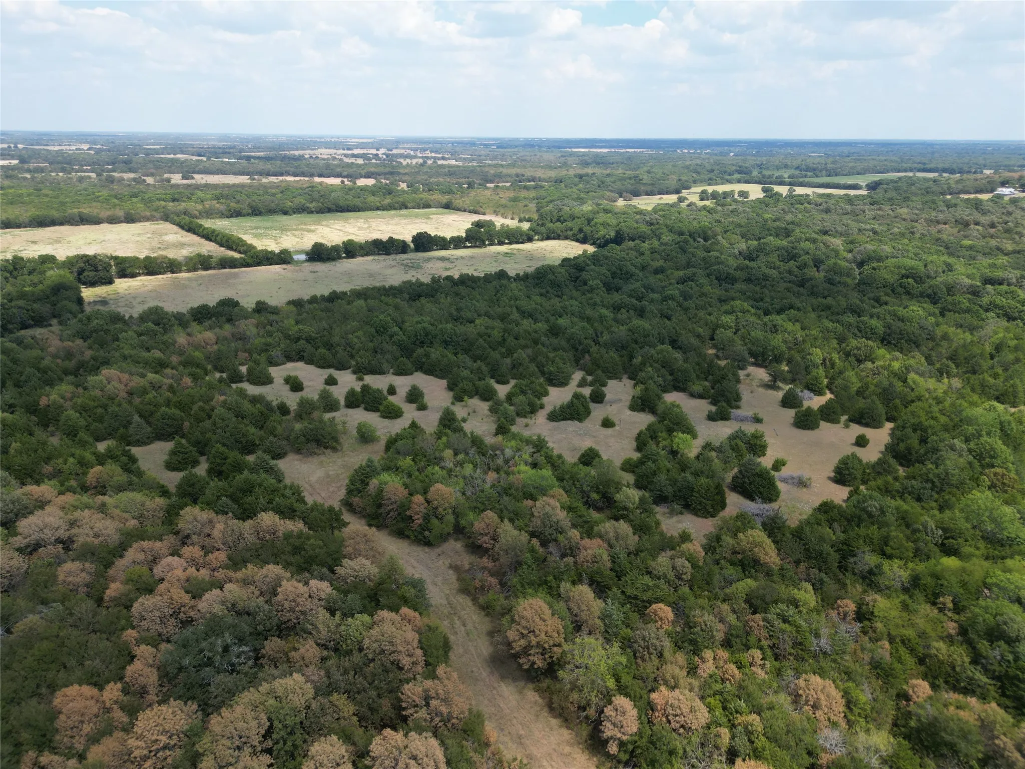 Unimproved Land For Sale in Hunt County , 25 acres County Road 1019, Celeste, Texas 75423, 0, 0, Garage spaces, 0 Sqft, built in 0, mls#21378841, Real Estate Agent in Celeste, Homes For Sale in Hunt county, Homes For Sale in Celeste, Realtor in Celeste Texas, Real Estate Brokerage Independent Realty Texas, Luminita Cordes Realtor