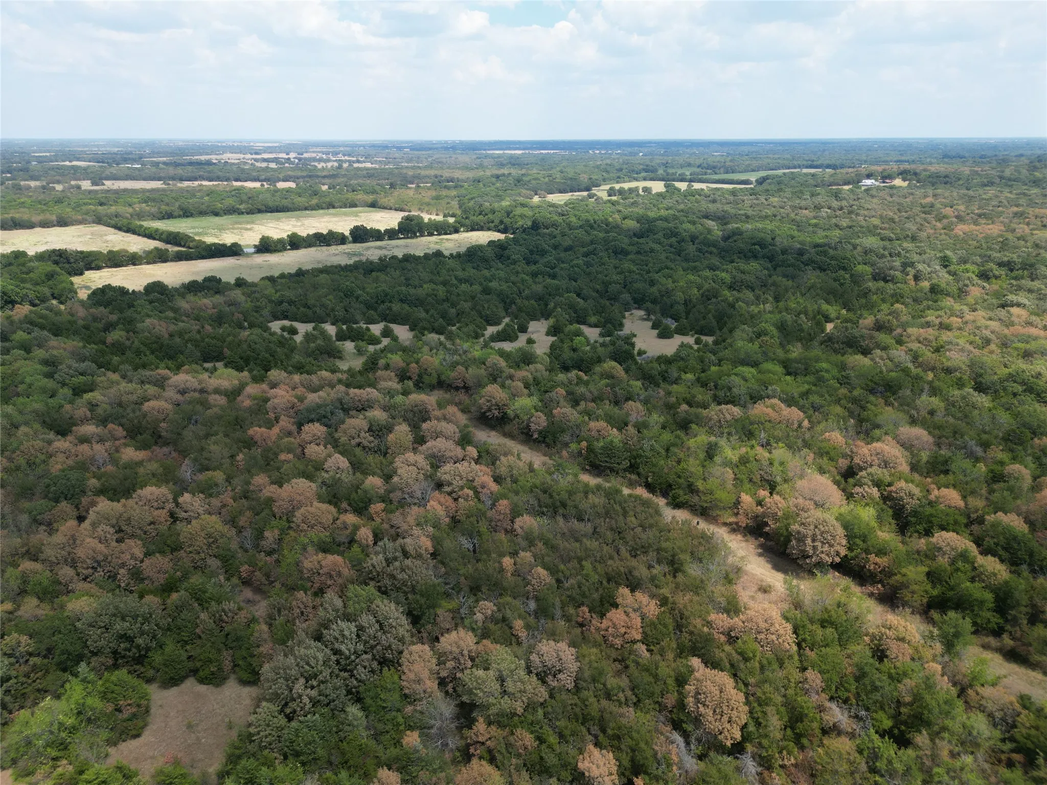 Unimproved Land For Sale in Hunt County , 25 acres County Road 1019, Celeste, Texas 75423, 0, 0, Garage spaces, 0 Sqft, built in 0, mls#21378841, Real Estate Agent in Celeste, Homes For Sale in Hunt county, Homes For Sale in Celeste, Realtor in Celeste Texas, Real Estate Brokerage Independent Realty Texas, Luminita Cordes Realtor