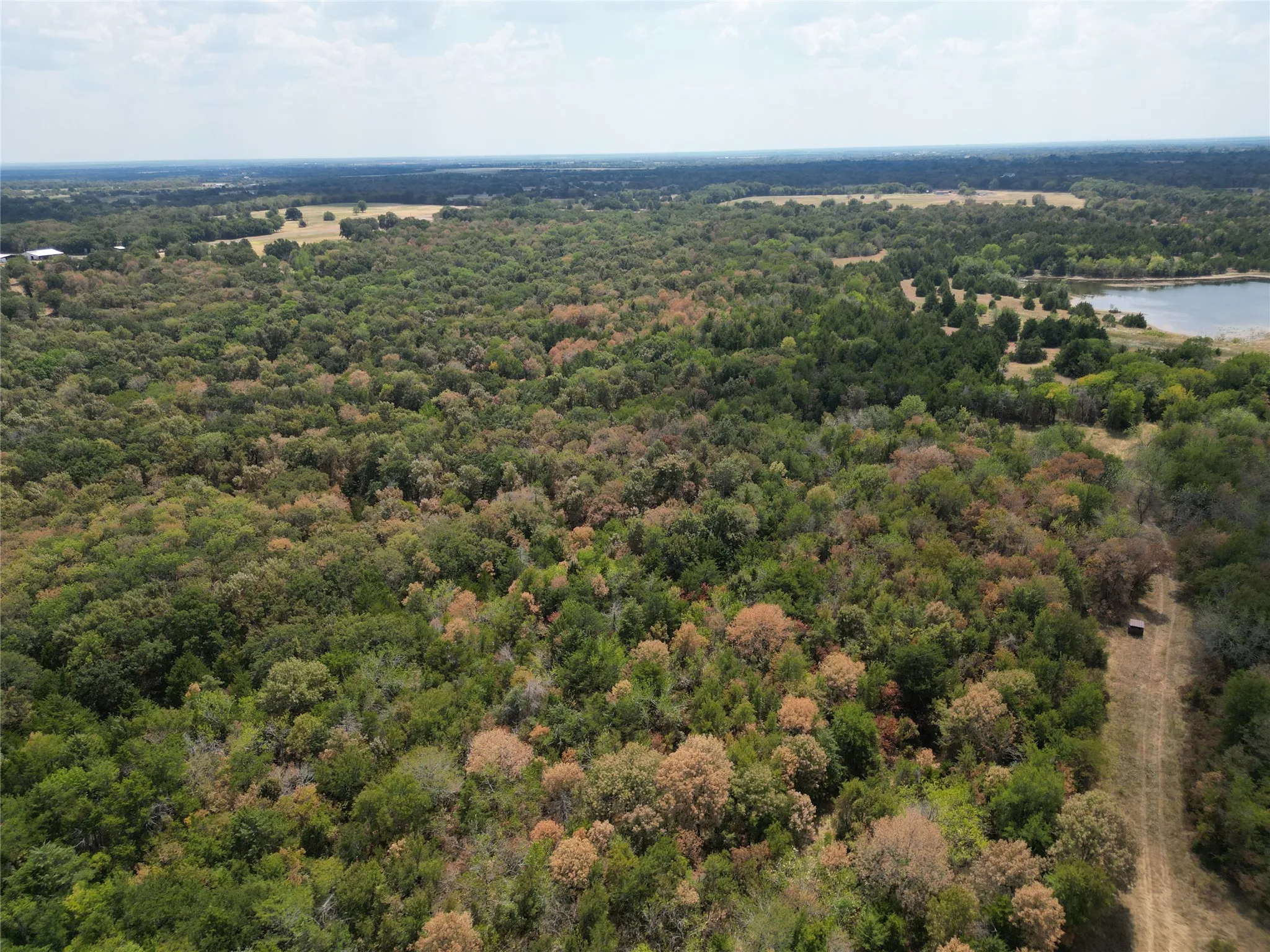 Unimproved Land For Sale in Hunt County , 25 acres County Road 1019, Celeste, Texas 75423, 0, 0, Garage spaces, 0 Sqft, built in 0, mls#21378841, Real Estate Agent in Celeste, Homes For Sale in Hunt county, Homes For Sale in Celeste, Realtor in Celeste Texas, Real Estate Brokerage Independent Realty Texas, Luminita Cordes Realtor