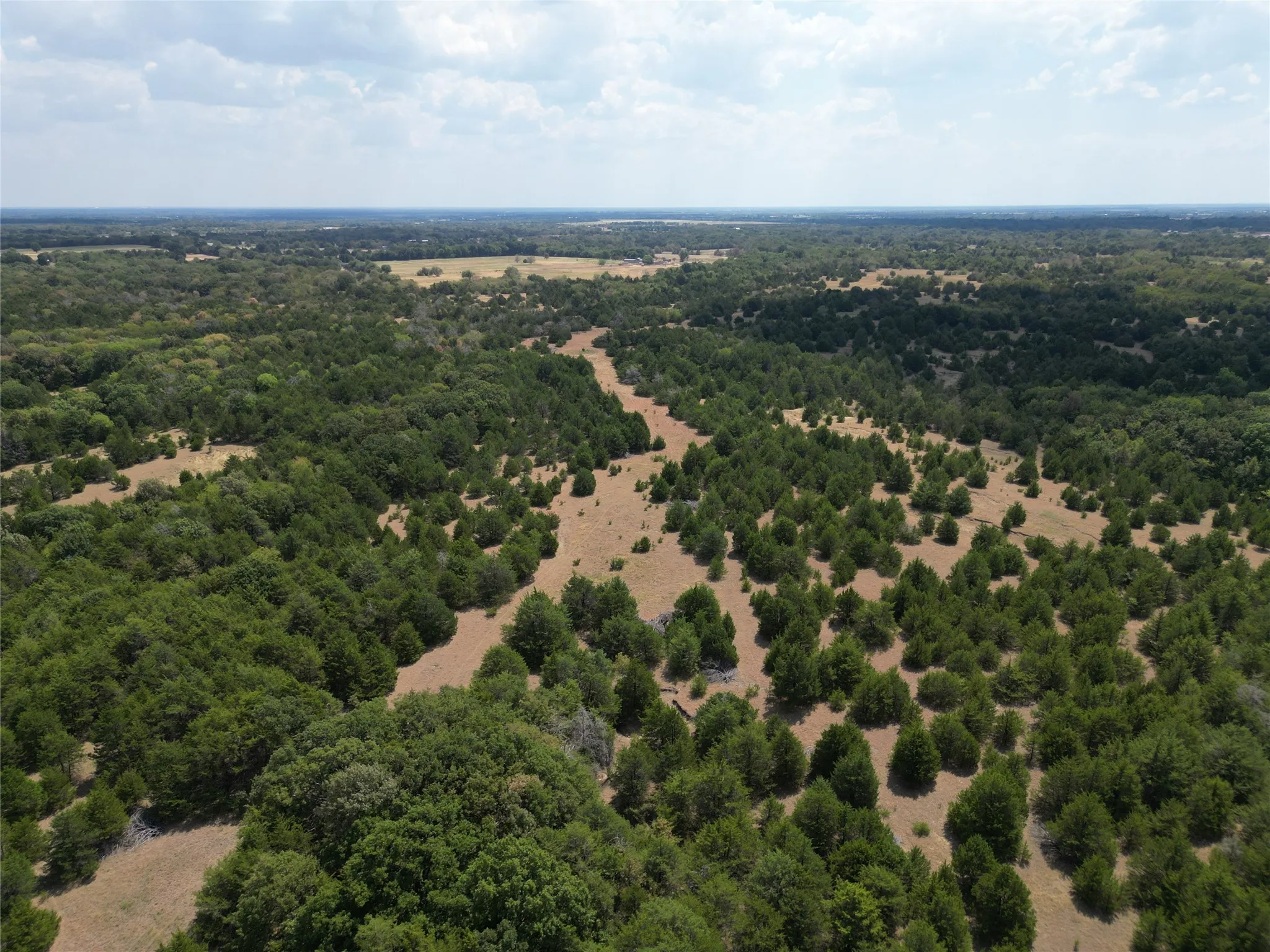 Unimproved Land For Sale in Hunt County , 25 acres County Road 1019, Celeste, Texas 75423, 0, 0, Garage spaces, 0 Sqft, built in 0, mls#21378841, Real Estate Agent in Celeste, Homes For Sale in Hunt county, Homes For Sale in Celeste, Realtor in Celeste Texas, Real Estate Brokerage Independent Realty Texas, Luminita Cordes Realtor