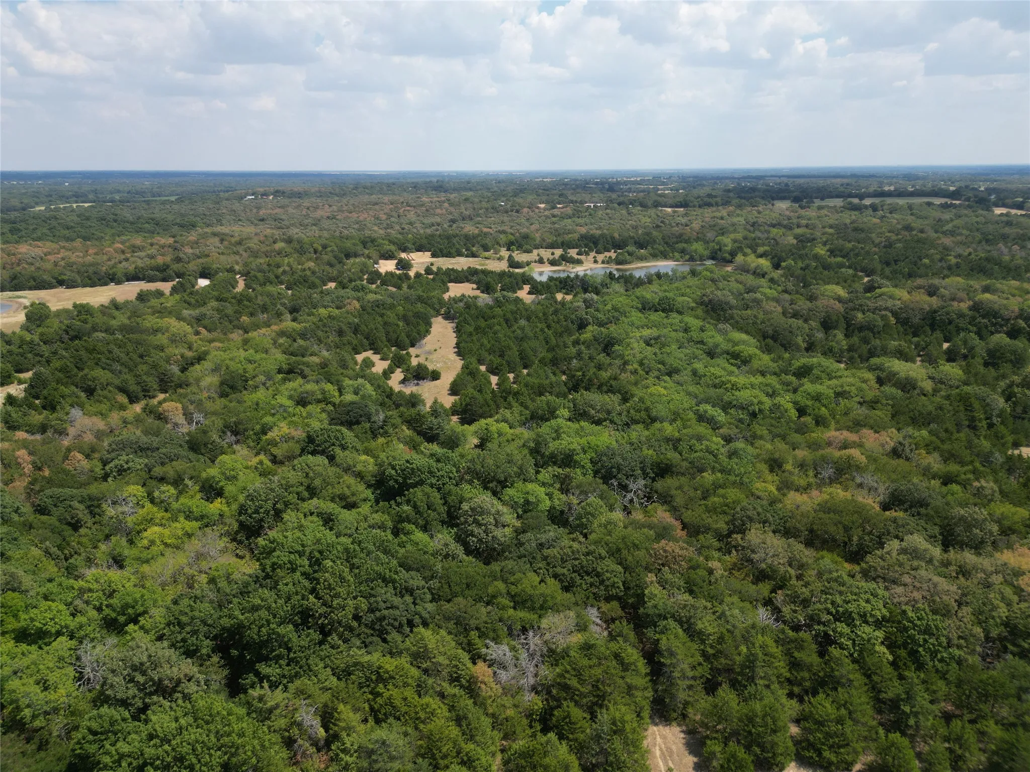 Unimproved Land For Sale in Hunt County , 25 acres County Road 1019, Celeste, Texas 75423, 0, 0, Garage spaces, 0 Sqft, built in 0, mls#21378841, Real Estate Agent in Celeste, Homes For Sale in Hunt county, Homes For Sale in Celeste, Realtor in Celeste Texas, Real Estate Brokerage Independent Realty Texas, Luminita Cordes Realtor