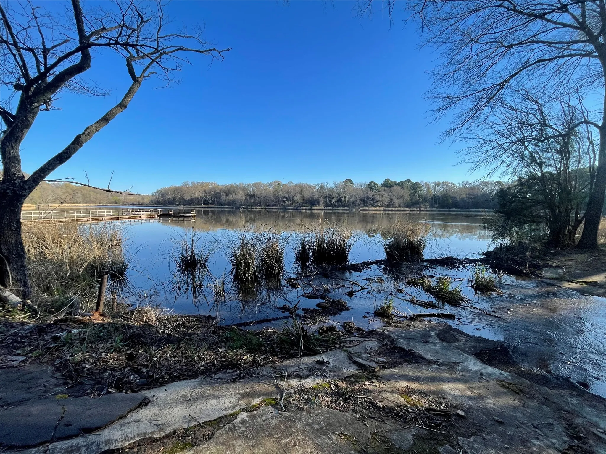 Improved Land For Sale in Wood County , TBD Lot 6 County Road 2200, Mineola, Texas 75773, 0, 0, Garage spaces, 0 Sqft, built in 0, mls#21342649, Real Estate Agent in Mineola, Homes For Sale in Wood county, Homes For Sale in Mineola, Realtor in Mineola Texas, Real Estate Brokerage Independent Realty Texas, Luminita Cordes Realtor