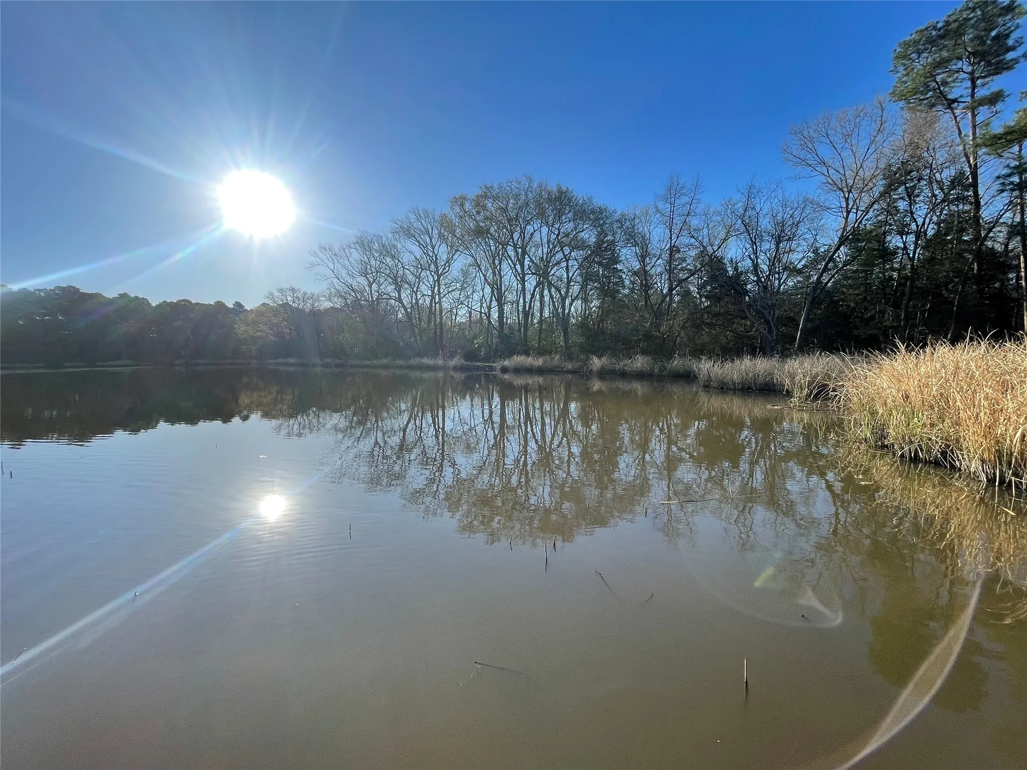 Improved Land For Sale in Wood County , TBD Lot 6 County Road 2200, Mineola, Texas 75773, 0, 0, Garage spaces, 0 Sqft, built in 0, mls#21342649, Real Estate Agent in Mineola, Homes For Sale in Wood county, Homes For Sale in Mineola, Realtor in Mineola Texas, Real Estate Brokerage Independent Realty Texas, Luminita Cordes Realtor