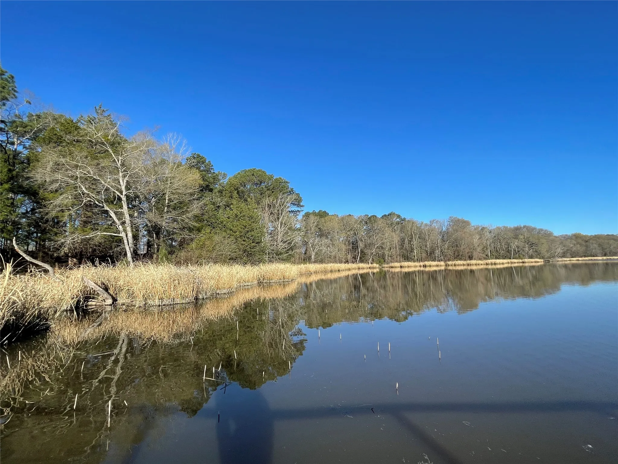 Improved Land For Sale in Wood County , TBD Lot 6 County Road 2200, Mineola, Texas 75773, 0, 0, Garage spaces, 0 Sqft, built in 0, mls#21342649, Real Estate Agent in Mineola, Homes For Sale in Wood county, Homes For Sale in Mineola, Realtor in Mineola Texas, Real Estate Brokerage Independent Realty Texas, Luminita Cordes Realtor