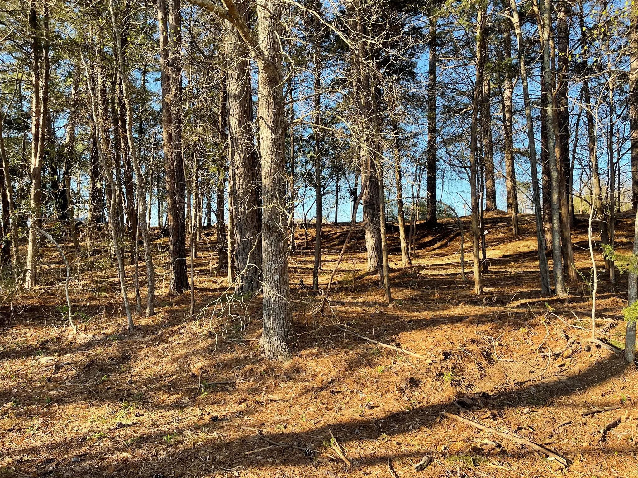 Improved Land For Sale in Wood County , TBD Lot 6 County Road 2200, Mineola, Texas 75773, 0, 0, Garage spaces, 0 Sqft, built in 0, mls#21342649, Real Estate Agent in Mineola, Homes For Sale in Wood county, Homes For Sale in Mineola, Realtor in Mineola Texas, Real Estate Brokerage Independent Realty Texas, Luminita Cordes Realtor