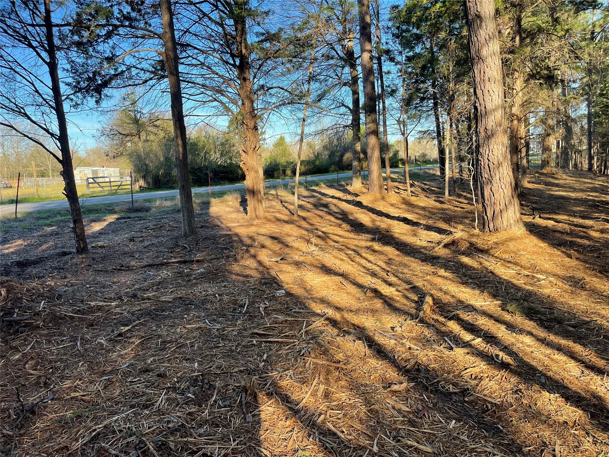 Improved Land For Sale in Wood County , TBD Lot 6 County Road 2200, Mineola, Texas 75773, 0, 0, Garage spaces, 0 Sqft, built in 0, mls#21342649, Real Estate Agent in Mineola, Homes For Sale in Wood county, Homes For Sale in Mineola, Realtor in Mineola Texas, Real Estate Brokerage Independent Realty Texas, Luminita Cordes Realtor