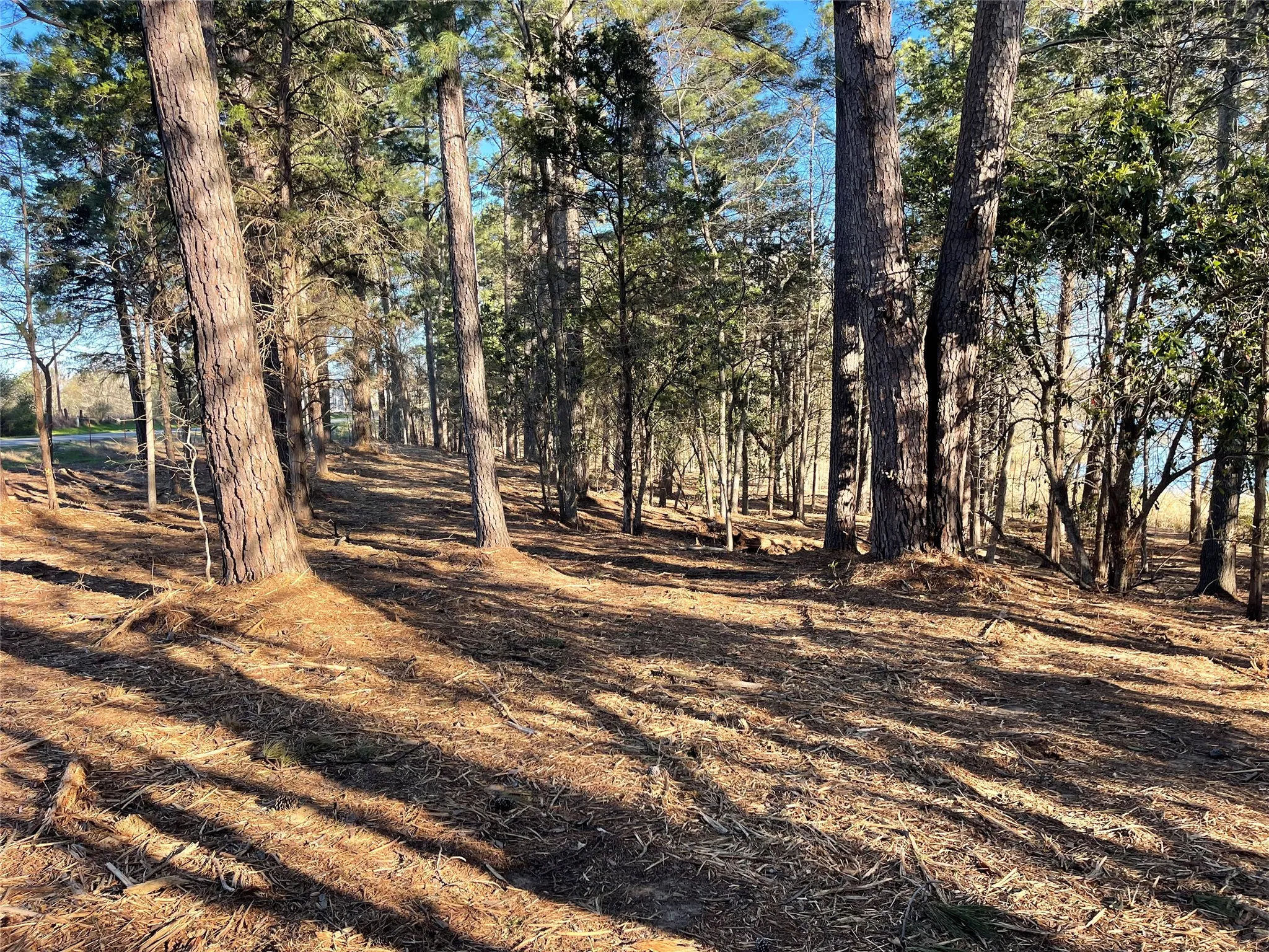 Improved Land For Sale in Wood County , TBD Lot 6 County Road 2200, Mineola, Texas 75773, 0, 0, Garage spaces, 0 Sqft, built in 0, mls#21342649, Real Estate Agent in Mineola, Homes For Sale in Wood county, Homes For Sale in Mineola, Realtor in Mineola Texas, Real Estate Brokerage Independent Realty Texas, Luminita Cordes Realtor