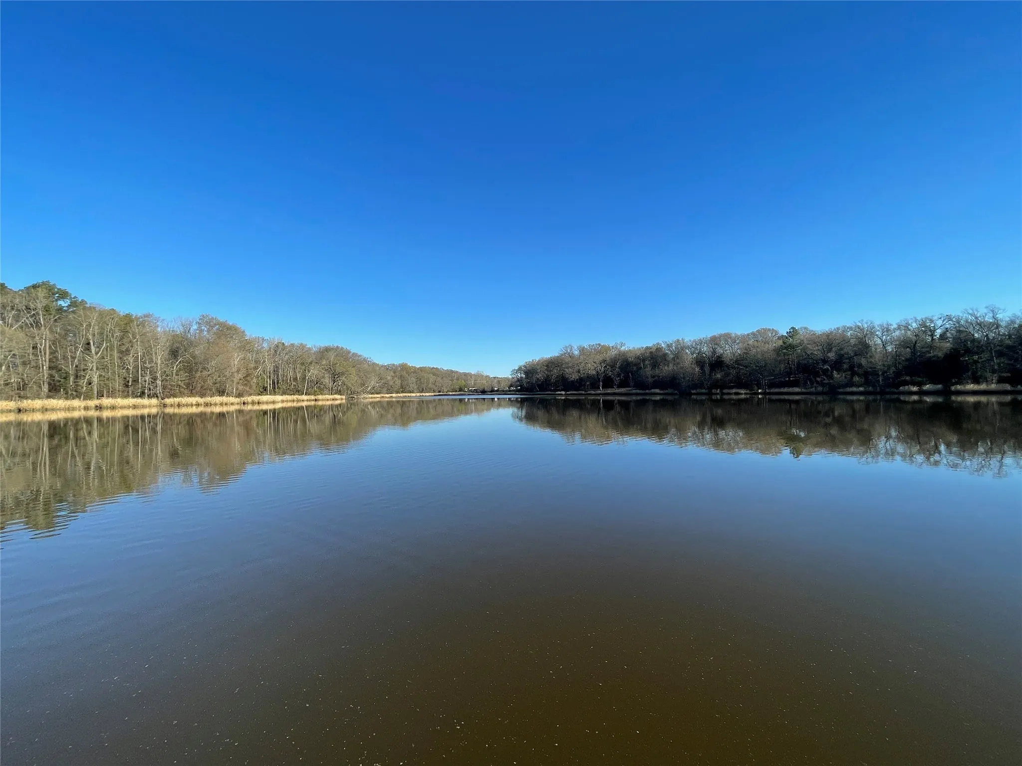 Improved Land For Sale in Wood County , TBD Lot 6 County Road 2200, Mineola, Texas 75773, 0, 0, Garage spaces, 0 Sqft, built in 0, mls#21342649, Real Estate Agent in Mineola, Homes For Sale in Wood county, Homes For Sale in Mineola, Realtor in Mineola Texas, Real Estate Brokerage Independent Realty Texas, Luminita Cordes Realtor