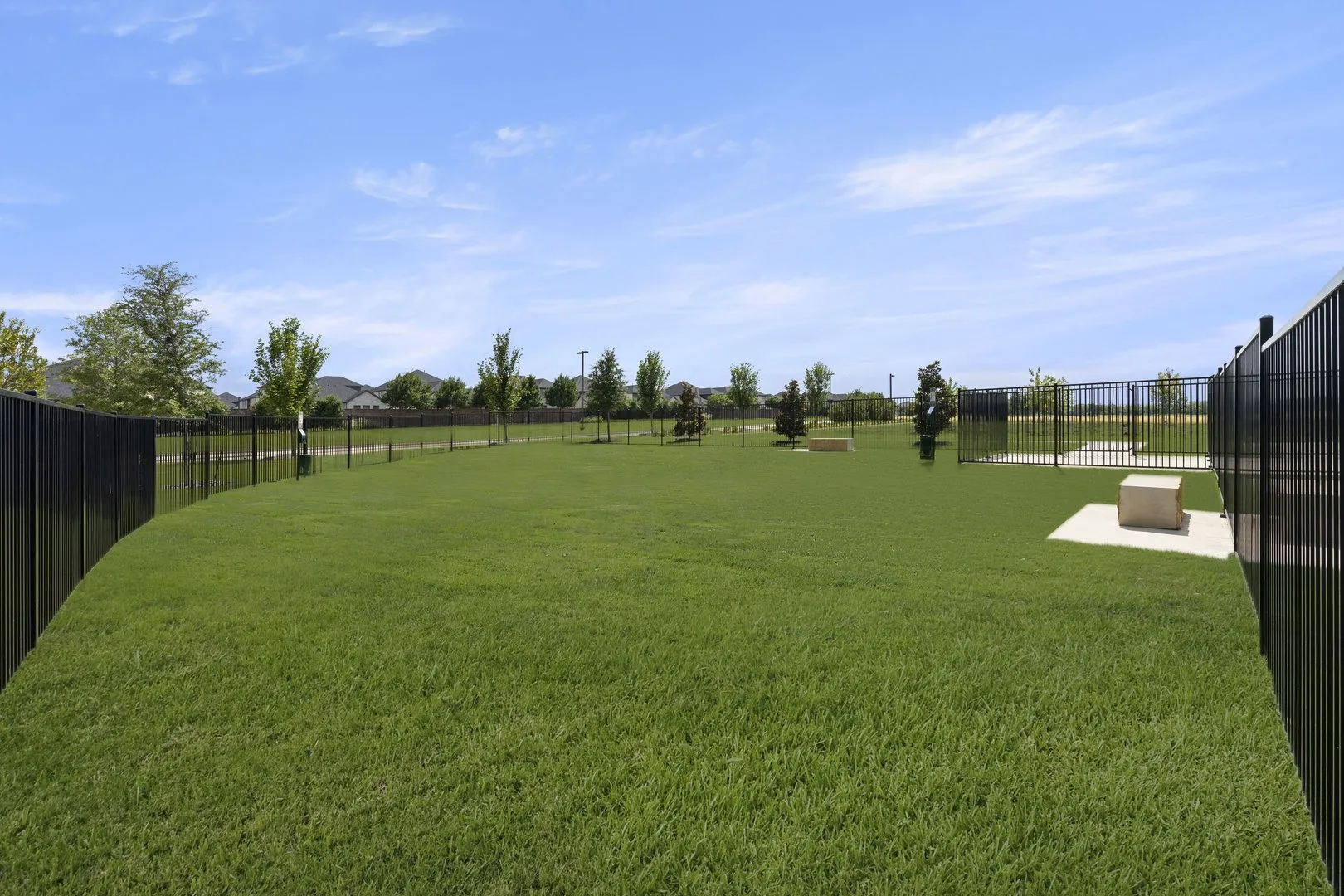 05. Dog Park (2).jpg