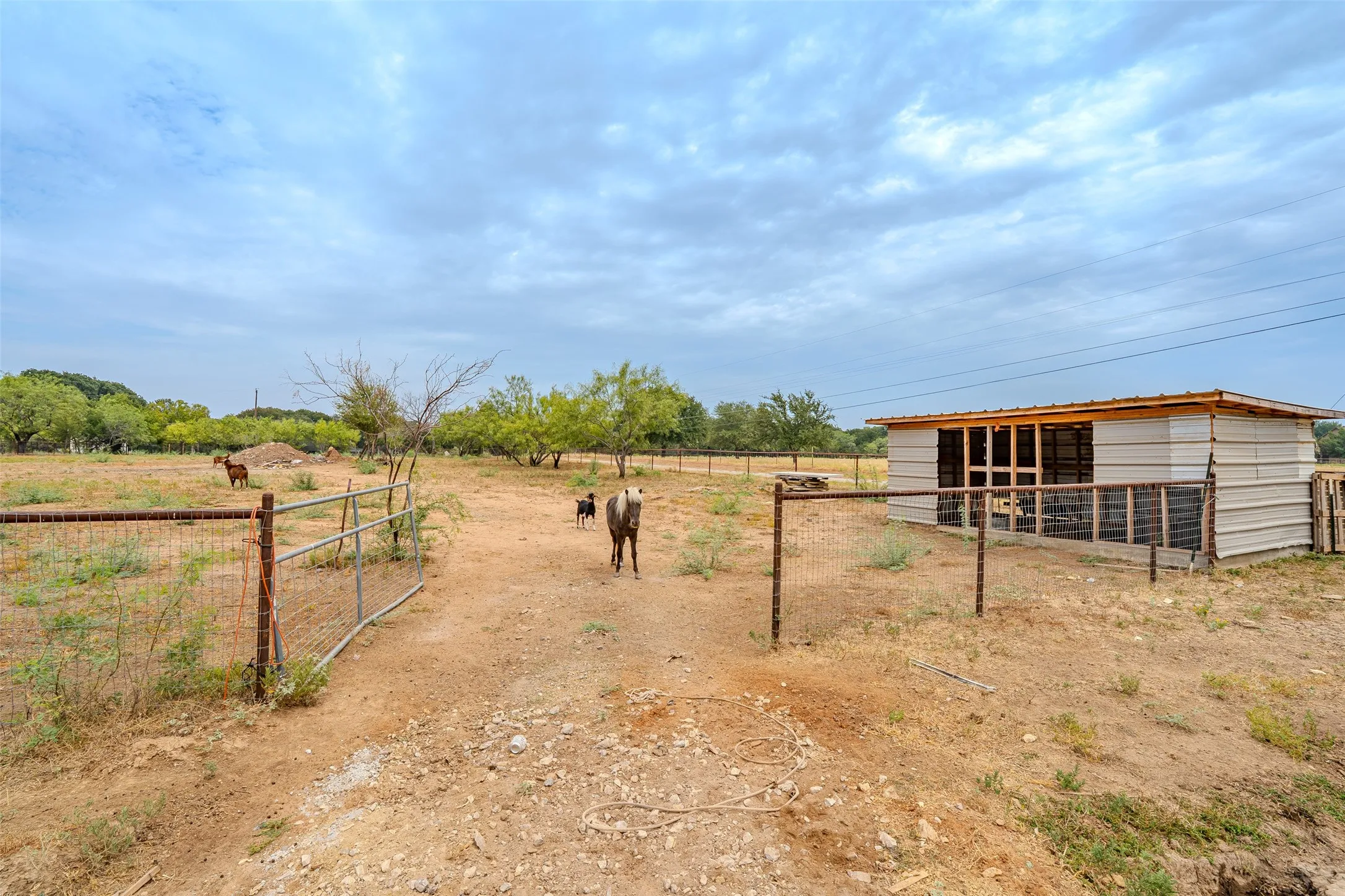 1 acre of the total 2 acres with loafing shed