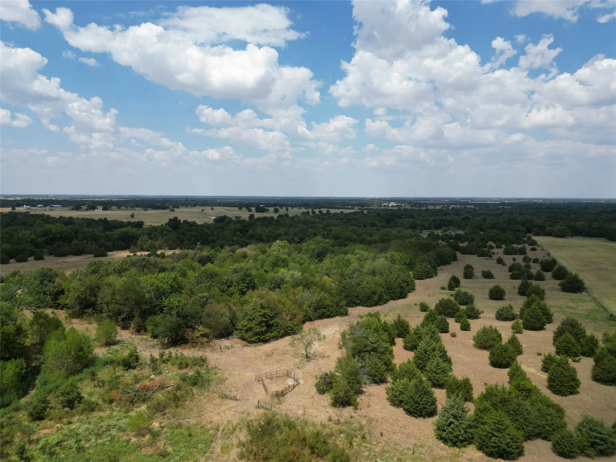 Unimproved Land For Sale in Hunt County , 50 acres County Road 1026, Celeste, Texas 75423, 0, 0, Garage spaces, 0 Sqft, built in 0, mls#21378866, Real Estate Agent in Celeste, Homes For Sale in Hunt county, Homes For Sale in Celeste, Realtor in Celeste Texas, Real Estate Brokerage Independent Realty Texas, Luminita Cordes Realtor