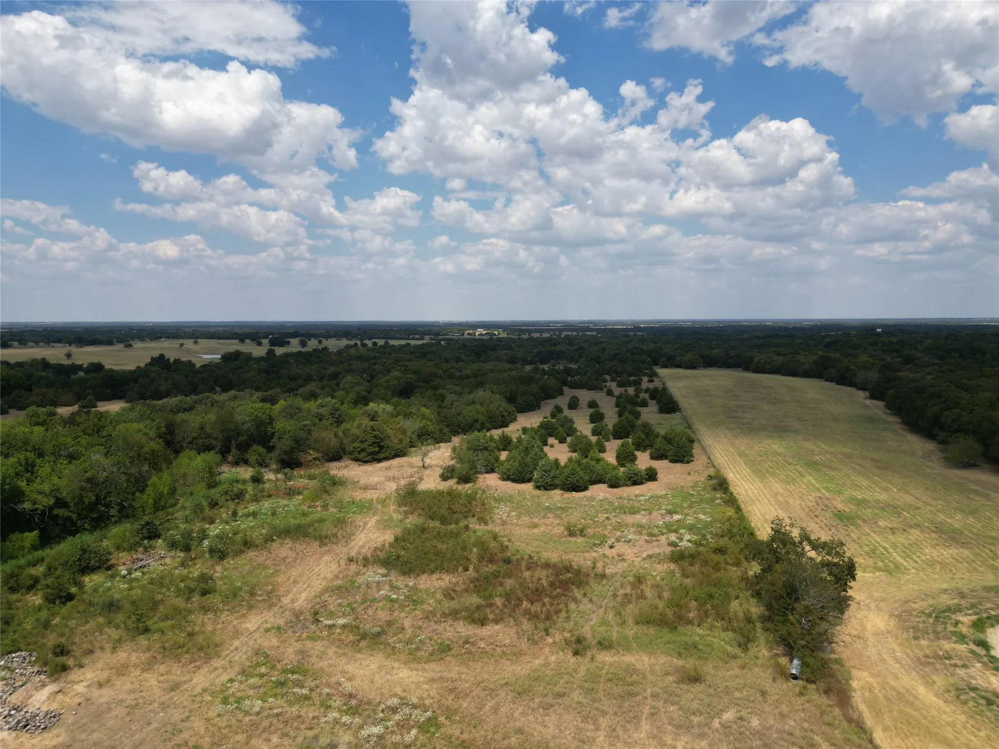 Unimproved Land For Sale in Hunt County , 50 acres County Road 1026, Celeste, Texas 75423, 0, 0, Garage spaces, 0 Sqft, built in 0, mls#21378866, Real Estate Agent in Celeste, Homes For Sale in Hunt county, Homes For Sale in Celeste, Realtor in Celeste Texas, Real Estate Brokerage Independent Realty Texas, Luminita Cordes Realtor