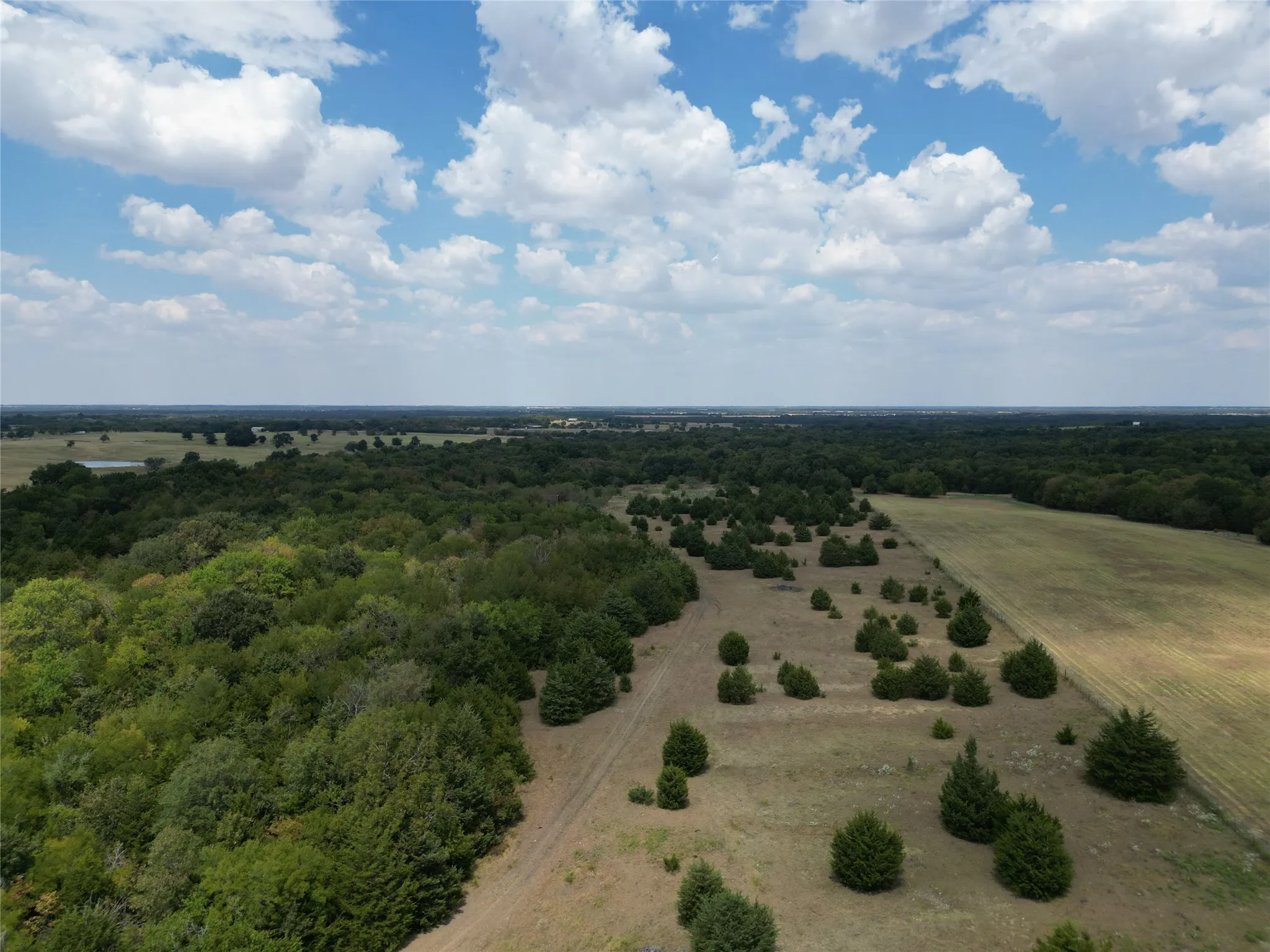 Unimproved Land For Sale in Hunt County , 50 acres County Road 1026, Celeste, Texas 75423, 0, 0, Garage spaces, 0 Sqft, built in 0, mls#21378866, Real Estate Agent in Celeste, Homes For Sale in Hunt county, Homes For Sale in Celeste, Realtor in Celeste Texas, Real Estate Brokerage Independent Realty Texas, Luminita Cordes Realtor