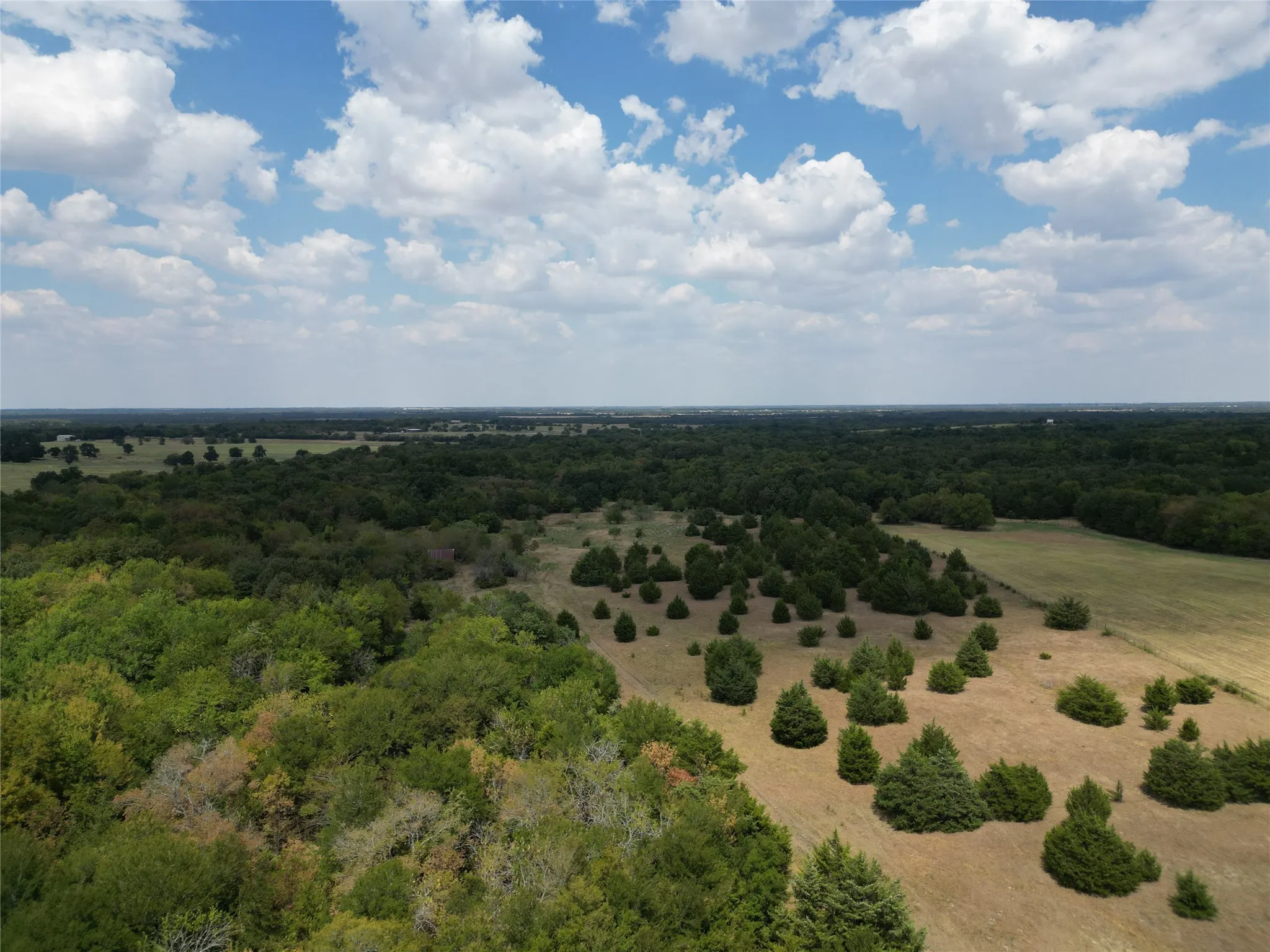 Unimproved Land For Sale in Hunt County , 50 acres County Road 1026, Celeste, Texas 75423, 0, 0, Garage spaces, 0 Sqft, built in 0, mls#21378866, Real Estate Agent in Celeste, Homes For Sale in Hunt county, Homes For Sale in Celeste, Realtor in Celeste Texas, Real Estate Brokerage Independent Realty Texas, Luminita Cordes Realtor