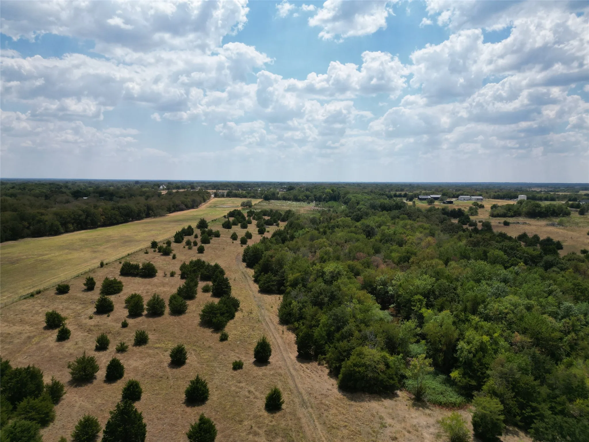 Unimproved Land For Sale in Hunt County , 50 acres County Road 1026, Celeste, Texas 75423, 0, 0, Garage spaces, 0 Sqft, built in 0, mls#21378866, Real Estate Agent in Celeste, Homes For Sale in Hunt county, Homes For Sale in Celeste, Realtor in Celeste Texas, Real Estate Brokerage Independent Realty Texas, Luminita Cordes Realtor