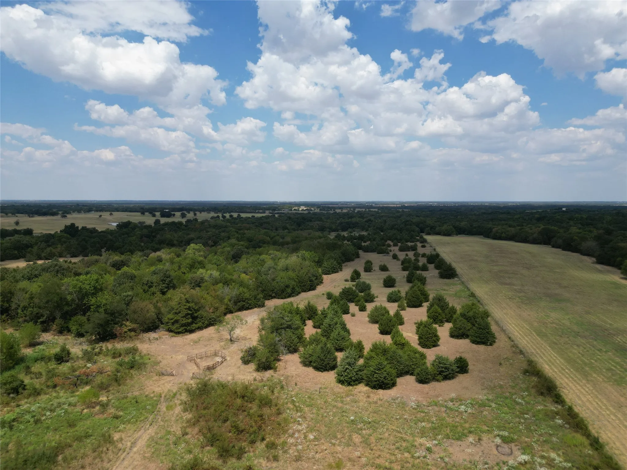 Unimproved Land For Sale in Hunt County , 50 acres County Road 1026, Celeste, Texas 75423, 0, 0, Garage spaces, 0 Sqft, built in 0, mls#21378866, Real Estate Agent in Celeste, Homes For Sale in Hunt county, Homes For Sale in Celeste, Realtor in Celeste Texas, Real Estate Brokerage Independent Realty Texas, Luminita Cordes Realtor