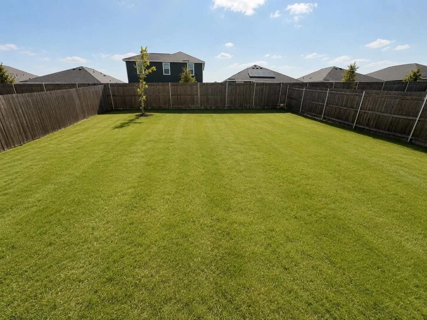 Single Family Residence For Rent in Tarrant County , 9917 Dynamics Drive, Fort Worth, Texas 76131, 4 Bedroom, 3 Bathroom, 2 Garage spaces, 2,051 Sqft, built in 2023, mls#21378882, Real Estate Agent in Fort Worth, Homes For Rent in Tarrant county, Homes For Rent in Fort Worth, Realtor in Fort Worth Texas, Real Estate Brokerage Independent Realty Texas, Luminita Cordes Realtor