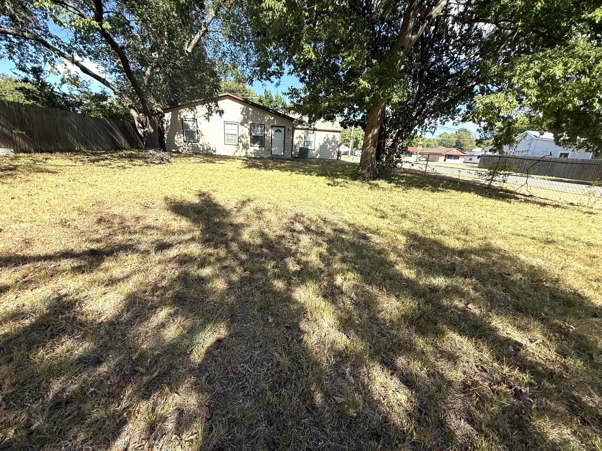 backyard