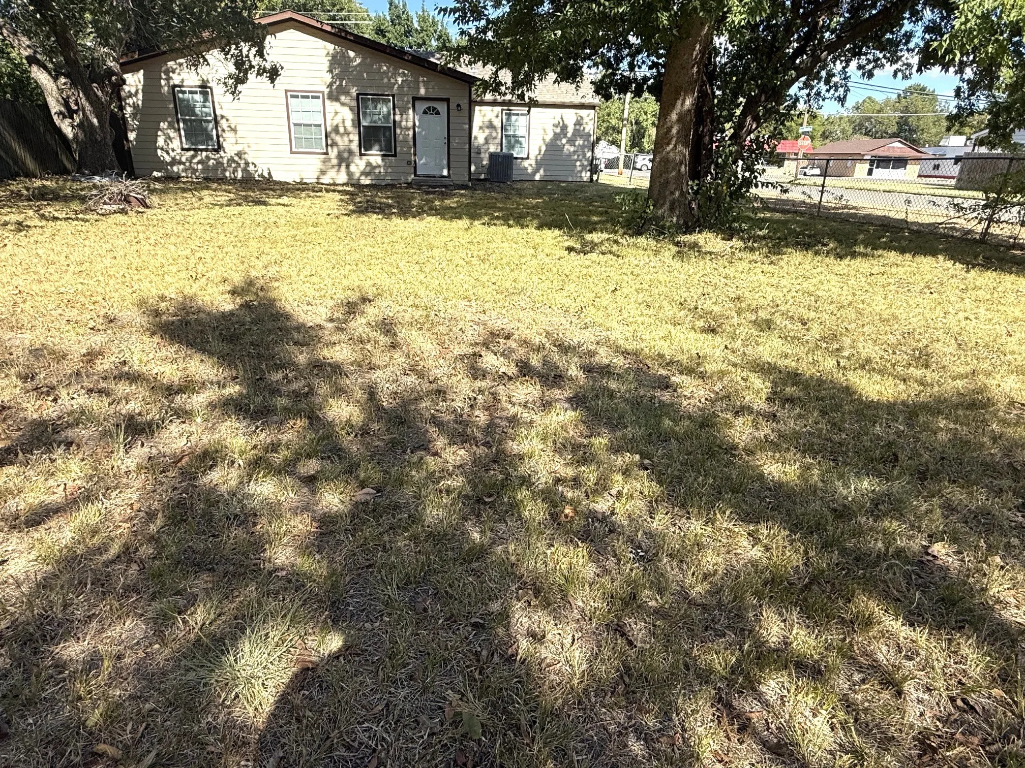 backyard