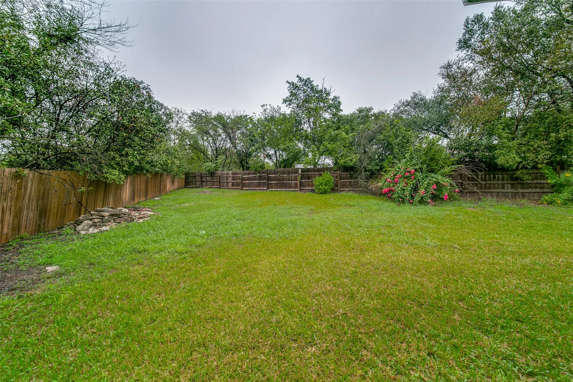 Expansive green lawn framed by a wood privacy fence and mature trees