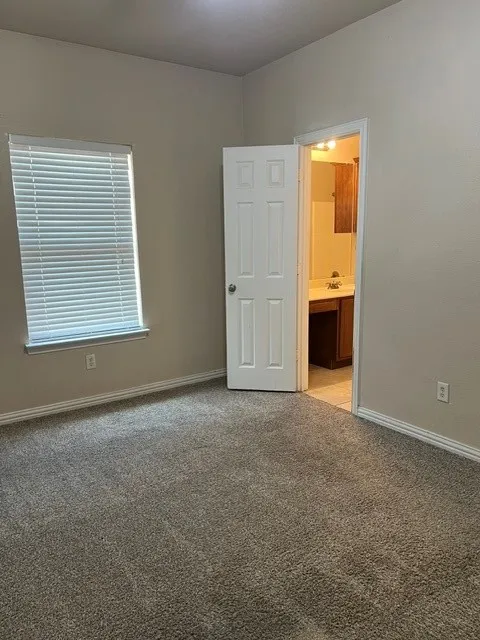 Plush carpet flooring, neutral painted walls, and a window with blinds