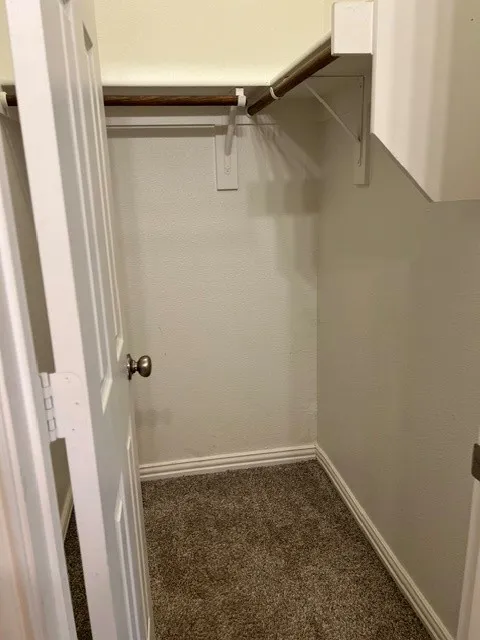 Built-in closet shelving with hanging rods and carpet flooring