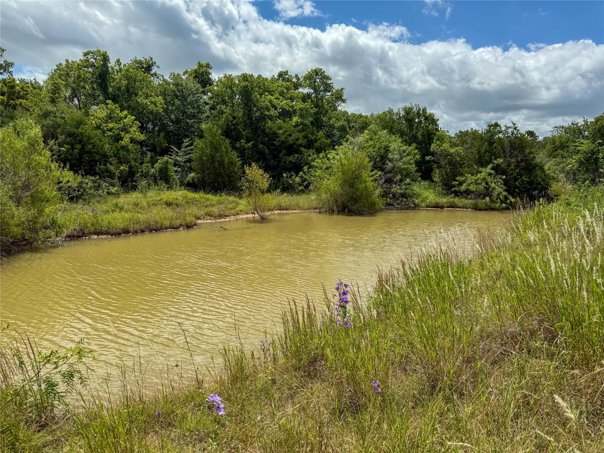 Unimproved Land For Sale in Johnson County , 1700 Don Lee Road, Joshua, Texas 76058, 0, 0, Garage spaces, 0 Sqft, built in 0, mls#21378920, Real Estate Agent in Joshua, Homes For Sale in Johnson county, Homes For Sale in Joshua, Realtor in Joshua Texas, Real Estate Brokerage Independent Realty Texas, Luminita Cordes Realtor