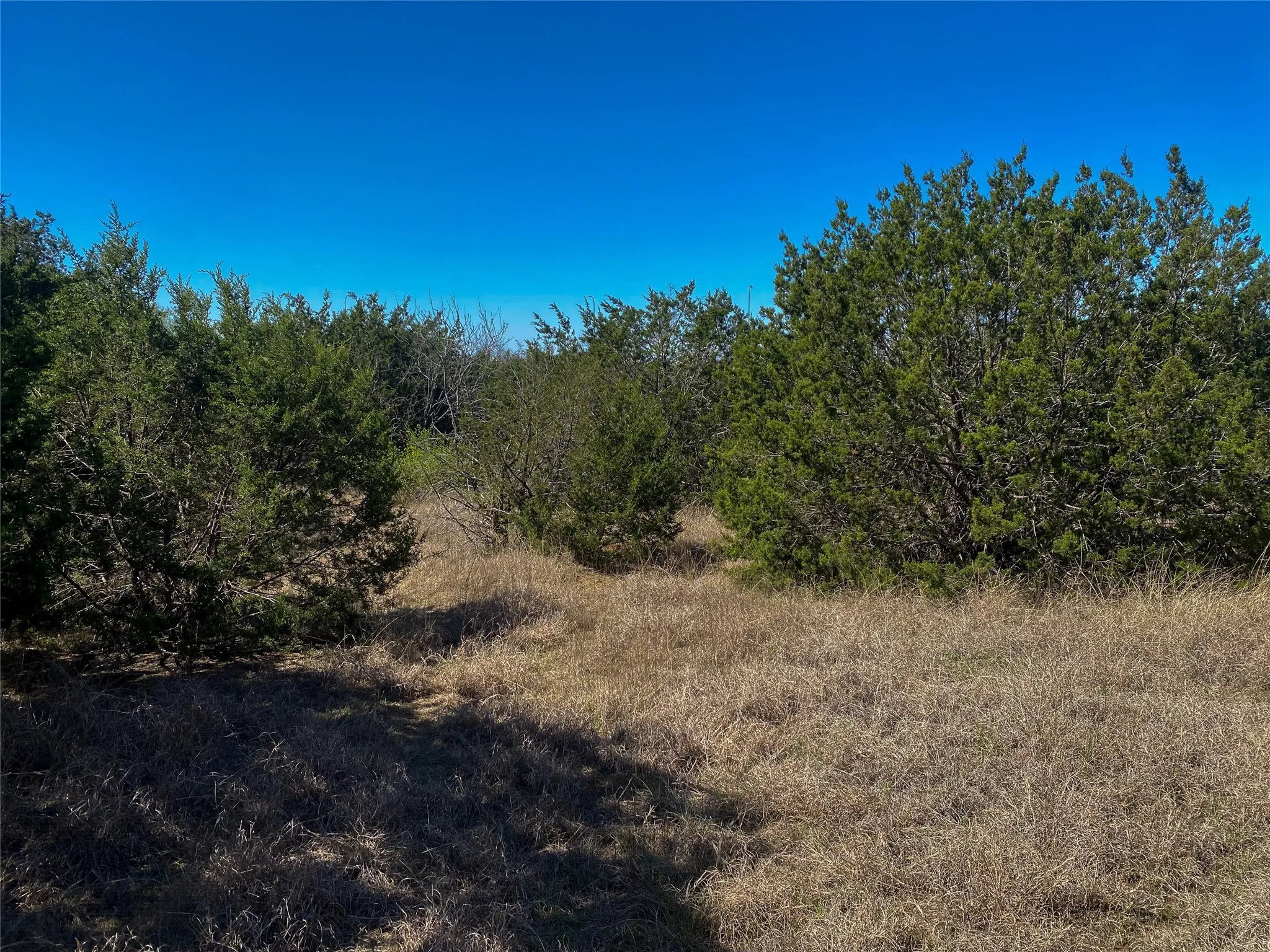 Unimproved Land For Sale in Johnson County , 1700 Don Lee Road, Joshua, Texas 76058, 0, 0, Garage spaces, 0 Sqft, built in 0, mls#21378920, Real Estate Agent in Joshua, Homes For Sale in Johnson county, Homes For Sale in Joshua, Realtor in Joshua Texas, Real Estate Brokerage Independent Realty Texas, Luminita Cordes Realtor