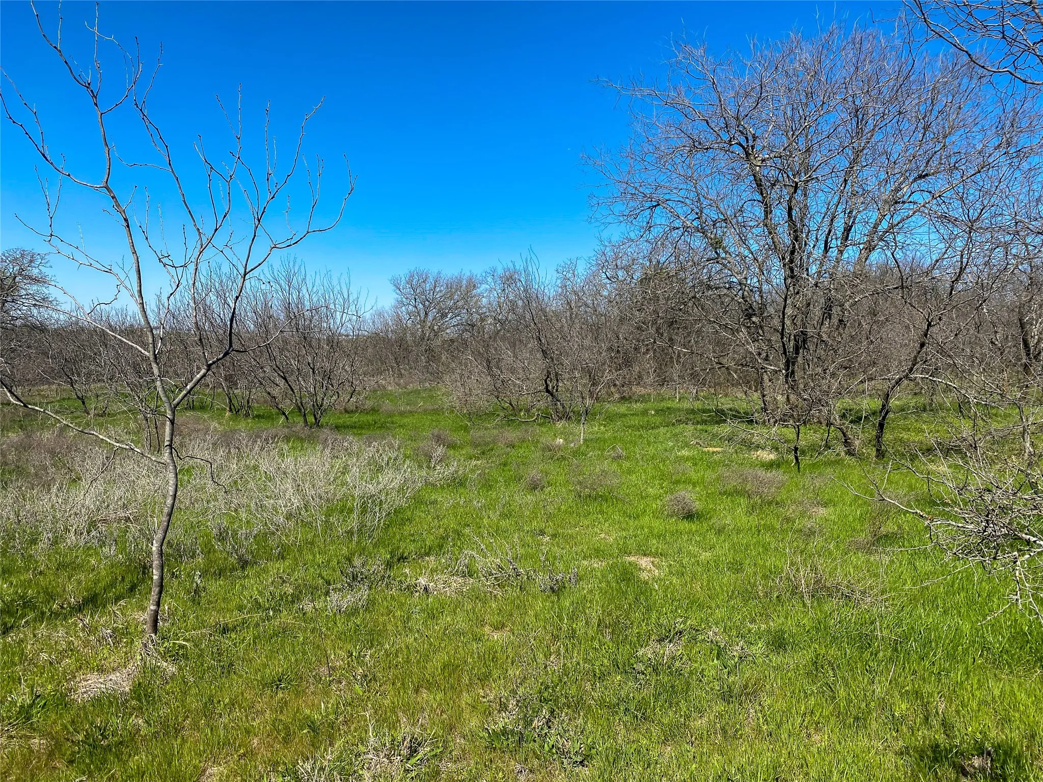 Unimproved Land For Sale in Johnson County , 1700 Don Lee Road, Joshua, Texas 76058, 0, 0, Garage spaces, 0 Sqft, built in 0, mls#21378920, Real Estate Agent in Joshua, Homes For Sale in Johnson county, Homes For Sale in Joshua, Realtor in Joshua Texas, Real Estate Brokerage Independent Realty Texas, Luminita Cordes Realtor