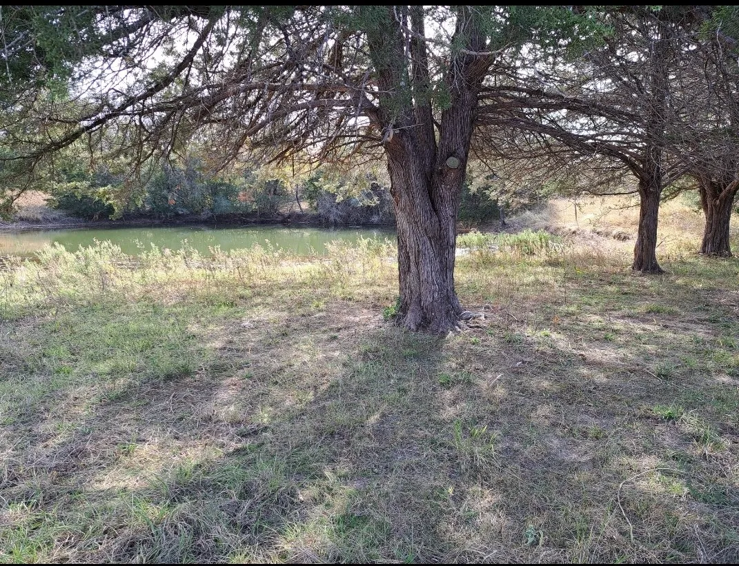 Unimproved Land For Sale in Limestone County , 572 LCR 424, Groesbeck, Texas 76642, 0, 0, Garage spaces, 0 Sqft, built in 0, mls#21378931, Real Estate Agent in Groesbeck, Homes For Sale in Limestone county, Homes For Sale in Groesbeck, Realtor in Groesbeck Texas, Real Estate Brokerage Independent Realty Texas, Luminita Cordes Realtor
