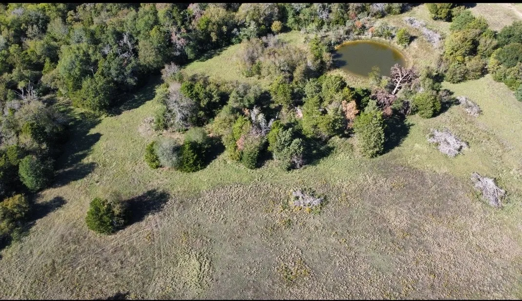 Unimproved Land For Sale in Limestone County , 572 LCR 424, Groesbeck, Texas 76642, 0, 0, Garage spaces, 0 Sqft, built in 0, mls#21378931, Real Estate Agent in Groesbeck, Homes For Sale in Limestone county, Homes For Sale in Groesbeck, Realtor in Groesbeck Texas, Real Estate Brokerage Independent Realty Texas, Luminita Cordes Realtor