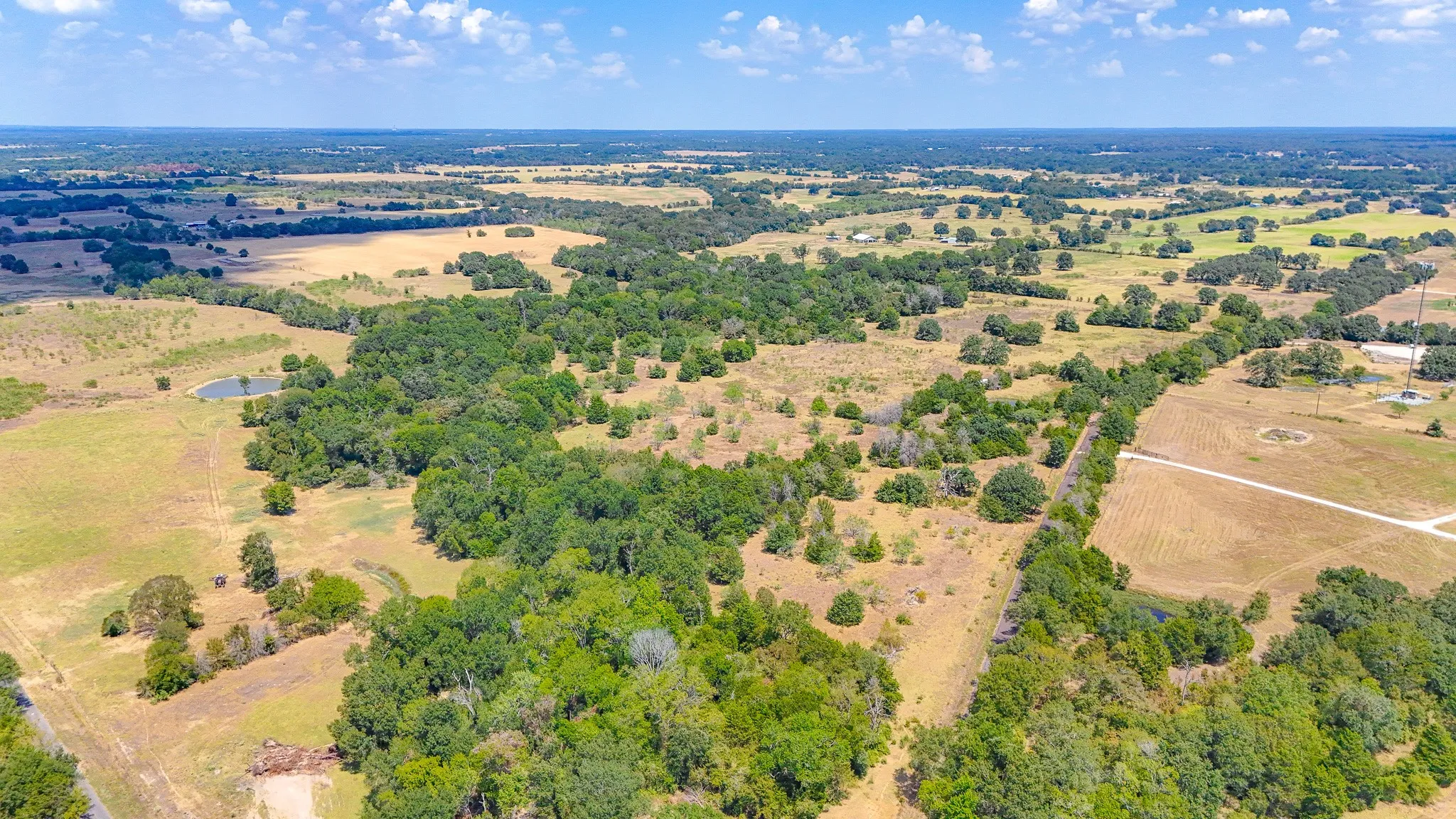 Unimproved Land For Sale in Limestone County , 572 LCR 424, Groesbeck, Texas 76642, 0, 0, Garage spaces, 0 Sqft, built in 0, mls#21378931, Real Estate Agent in Groesbeck, Homes For Sale in Limestone county, Homes For Sale in Groesbeck, Realtor in Groesbeck Texas, Real Estate Brokerage Independent Realty Texas, Luminita Cordes Realtor