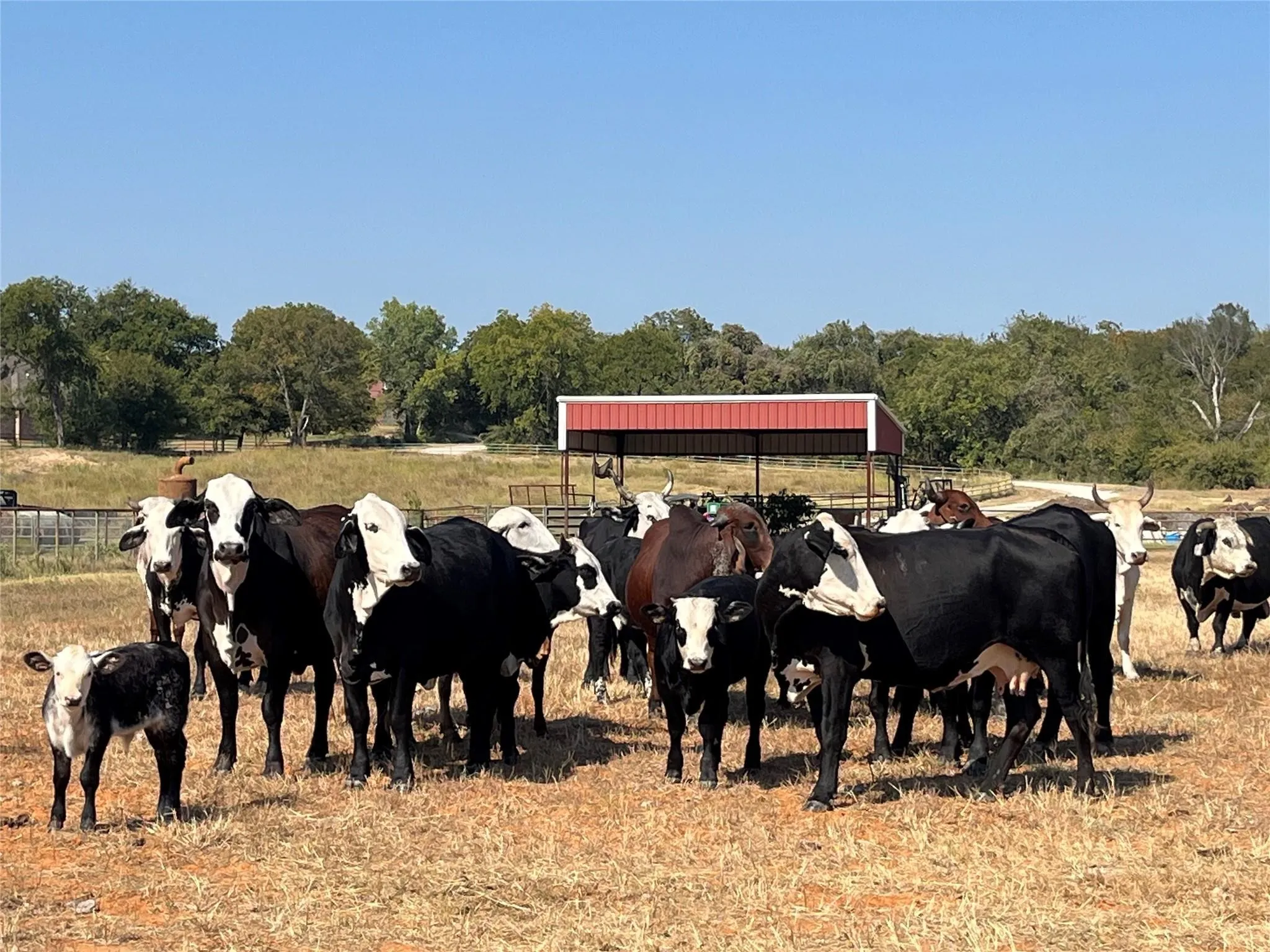Unimproved Land For Sale in Tarrant County , TBD # 12 Briar Road, Azle, Texas 76020, 0, 0, Garage spaces, 0 Sqft, built in 0, mls#21378701, Real Estate Agent in Azle, Homes For Sale in Tarrant county, Homes For Sale in Azle, Realtor in Azle Texas, Real Estate Brokerage Independent Realty Texas, Luminita Cordes Realtor