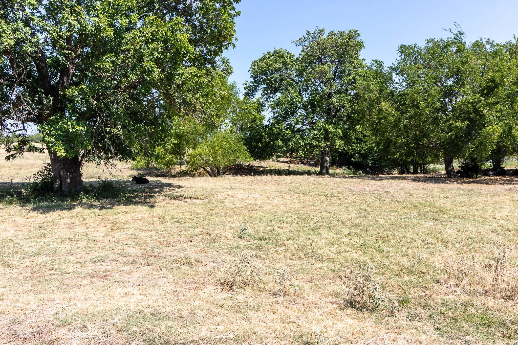 Farm For Sale in Kaufman County , 15019 Cr-4003, Mabank, Texas 75147, 2 Bedroom, 2 Bathroom, 2 Garage spaces, 2,332 Sqft, built in 1976, mls#21375305, Real Estate Agent in Mabank, Homes For Sale in Kaufman county, Homes For Sale in Mabank, Realtor in Mabank Texas, Real Estate Brokerage Independent Realty Texas, Luminita Cordes Realtor