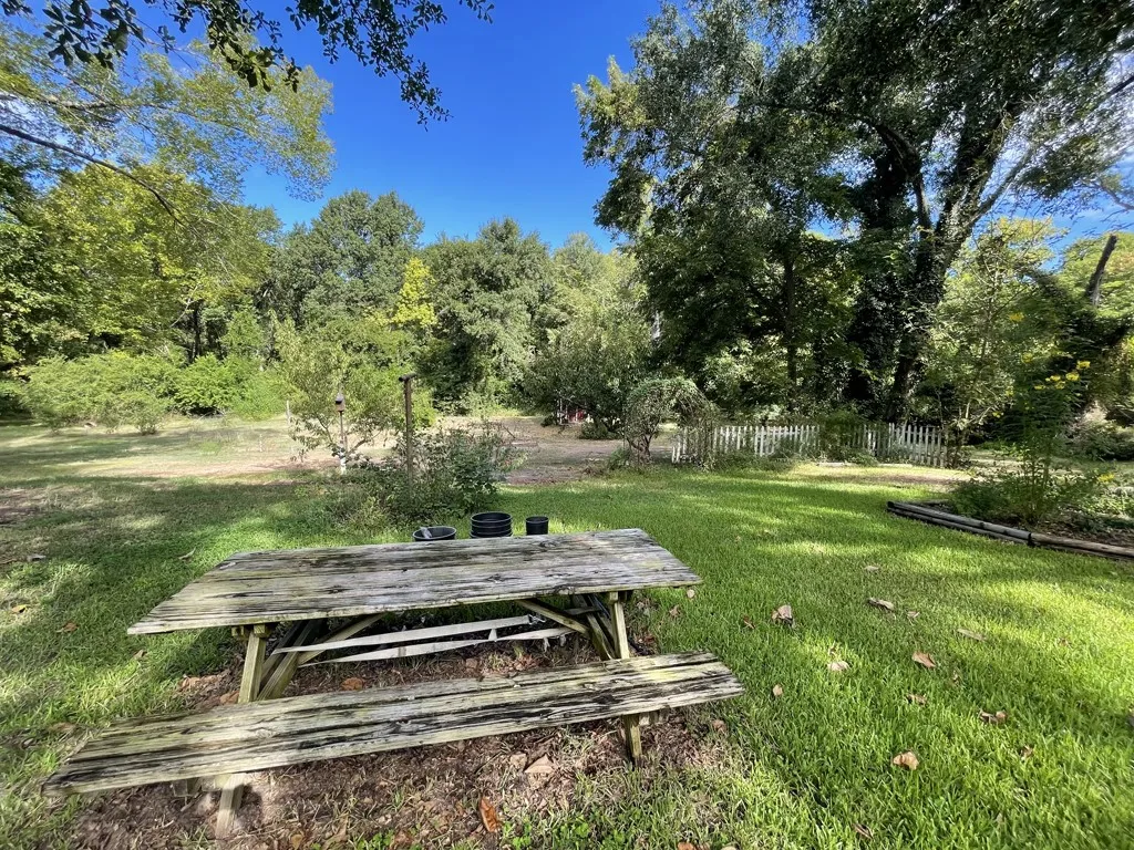 Backyard View
