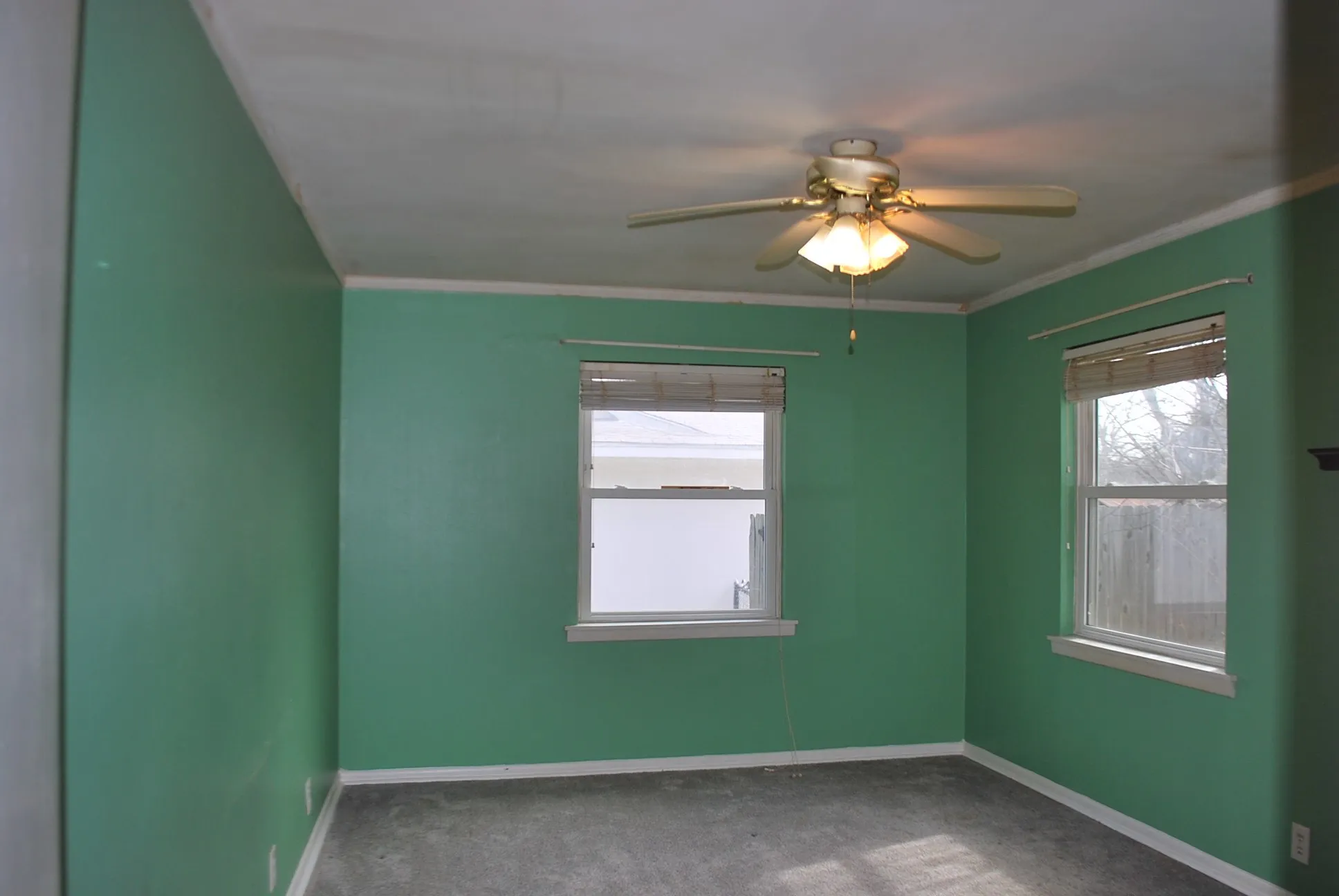 Dual windows with white trim, ceiling fan light fixture, and carpeted flooring