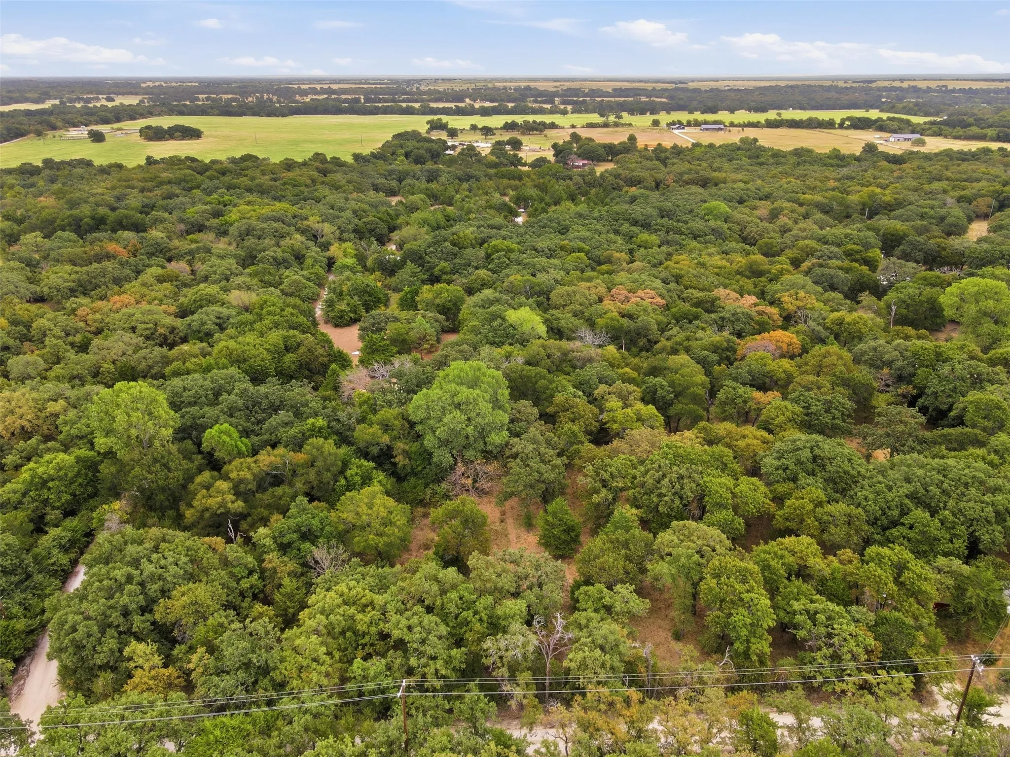 Unimproved Land For Sale in Hill County , 1226 Hcr 1425, Covington, Texas 76636, 0, 0, Garage spaces, 0 Sqft, built in 0, mls#21378983, Real Estate Agent in Covington, Homes For Sale in Hill county, Homes For Sale in Covington, Realtor in Covington Texas, Real Estate Brokerage Independent Realty Texas, Luminita Cordes Realtor