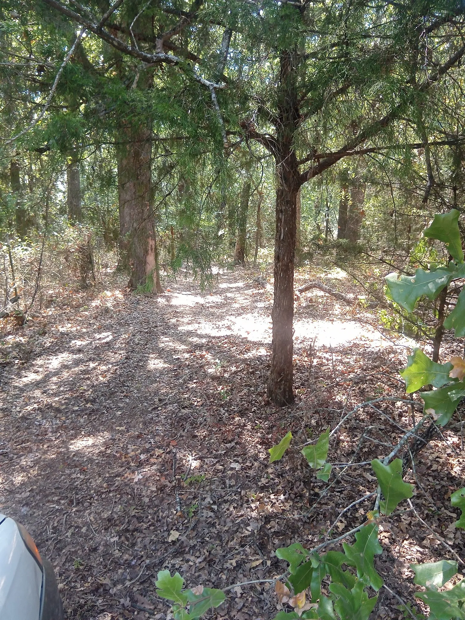 Unimproved Land For Sale in Hill County , 1226 Hcr 1425, Covington, Texas 76636, 0, 0, Garage spaces, 0 Sqft, built in 0, mls#21378983, Real Estate Agent in Covington, Homes For Sale in Hill county, Homes For Sale in Covington, Realtor in Covington Texas, Real Estate Brokerage Independent Realty Texas, Luminita Cordes Realtor