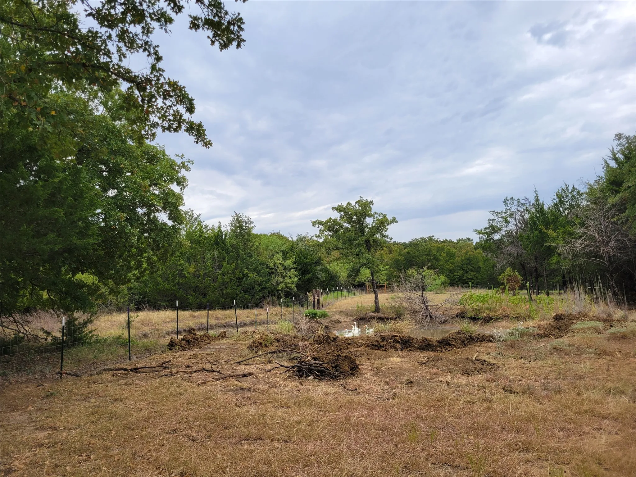 Unimproved Land For Sale in Hill County , 1226 Hcr 1425, Covington, Texas 76636, 0, 0, Garage spaces, 0 Sqft, built in 0, mls#21378983, Real Estate Agent in Covington, Homes For Sale in Hill county, Homes For Sale in Covington, Realtor in Covington Texas, Real Estate Brokerage Independent Realty Texas, Luminita Cordes Realtor